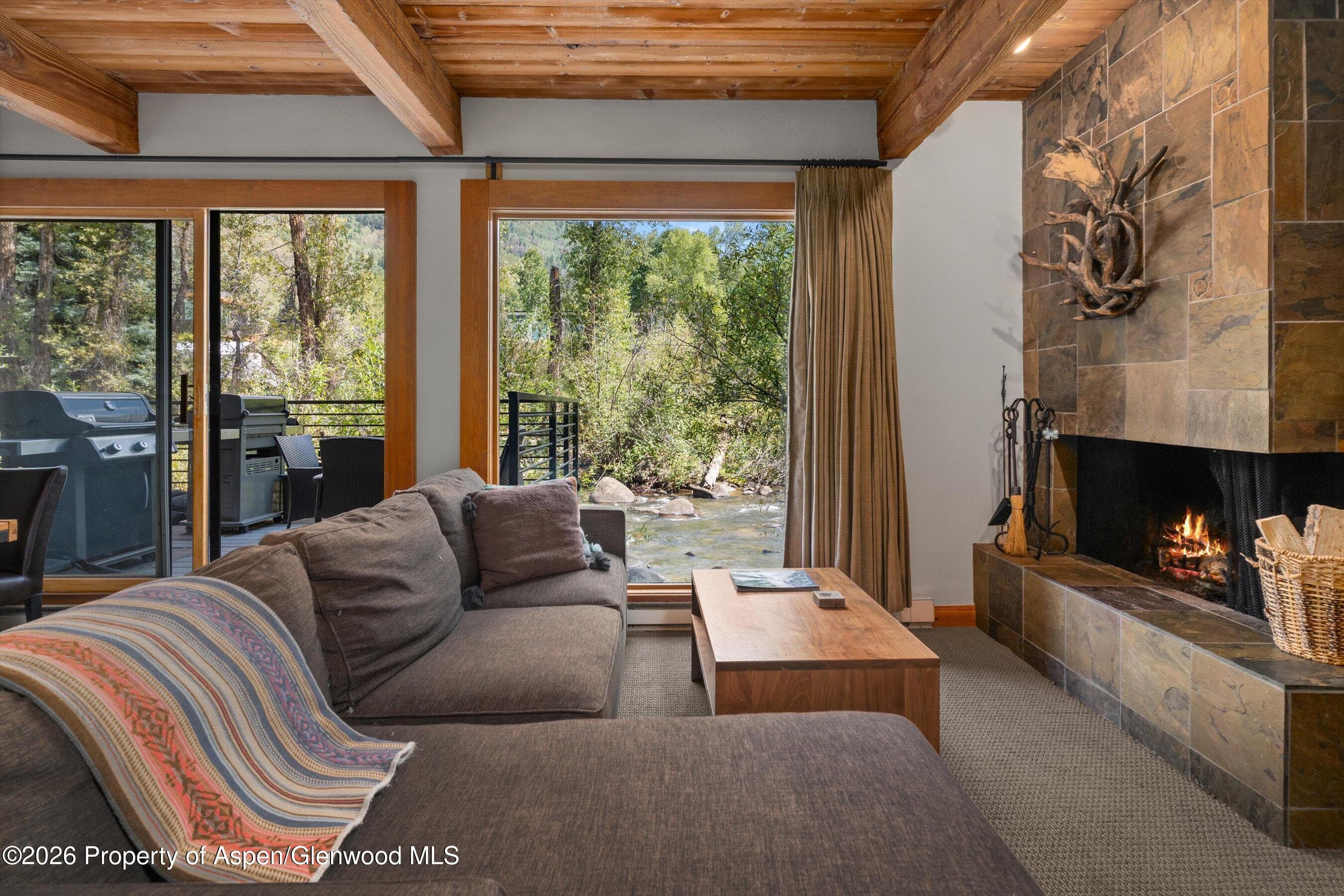 1039 E Cooper Avenue 19a & 21a, Aspen, CO 81611 - Photo 4
