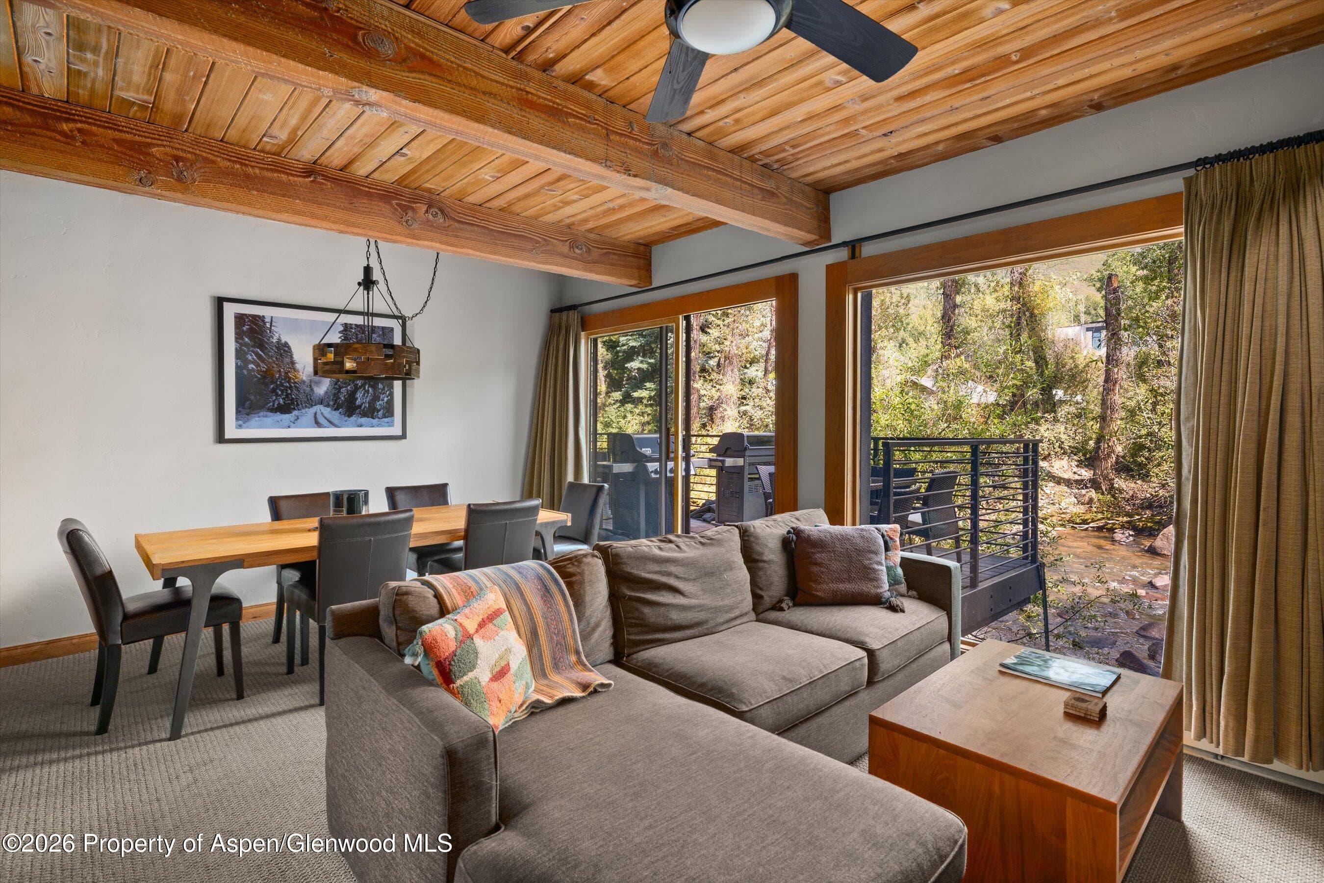 1039 E Cooper Avenue 19a & 21a, Aspen, CO 81611 - Photo 6
