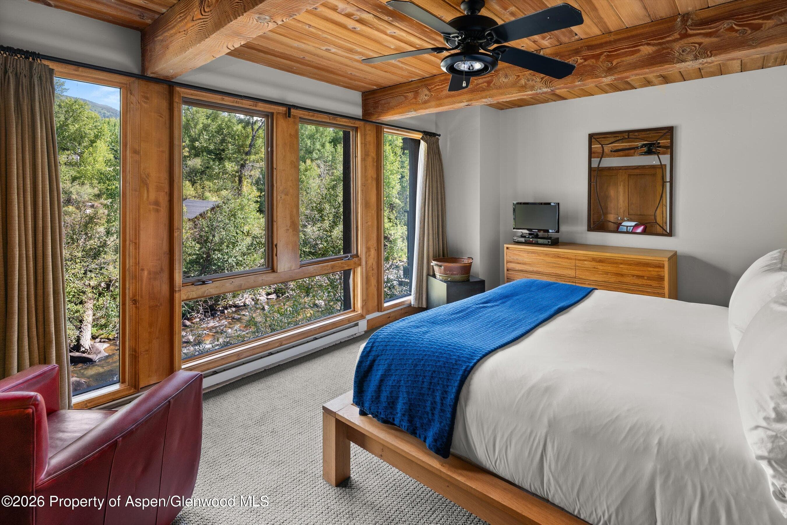 1039 E Cooper Avenue 19a & 21a, Aspen, CO 81611 - Photo 11