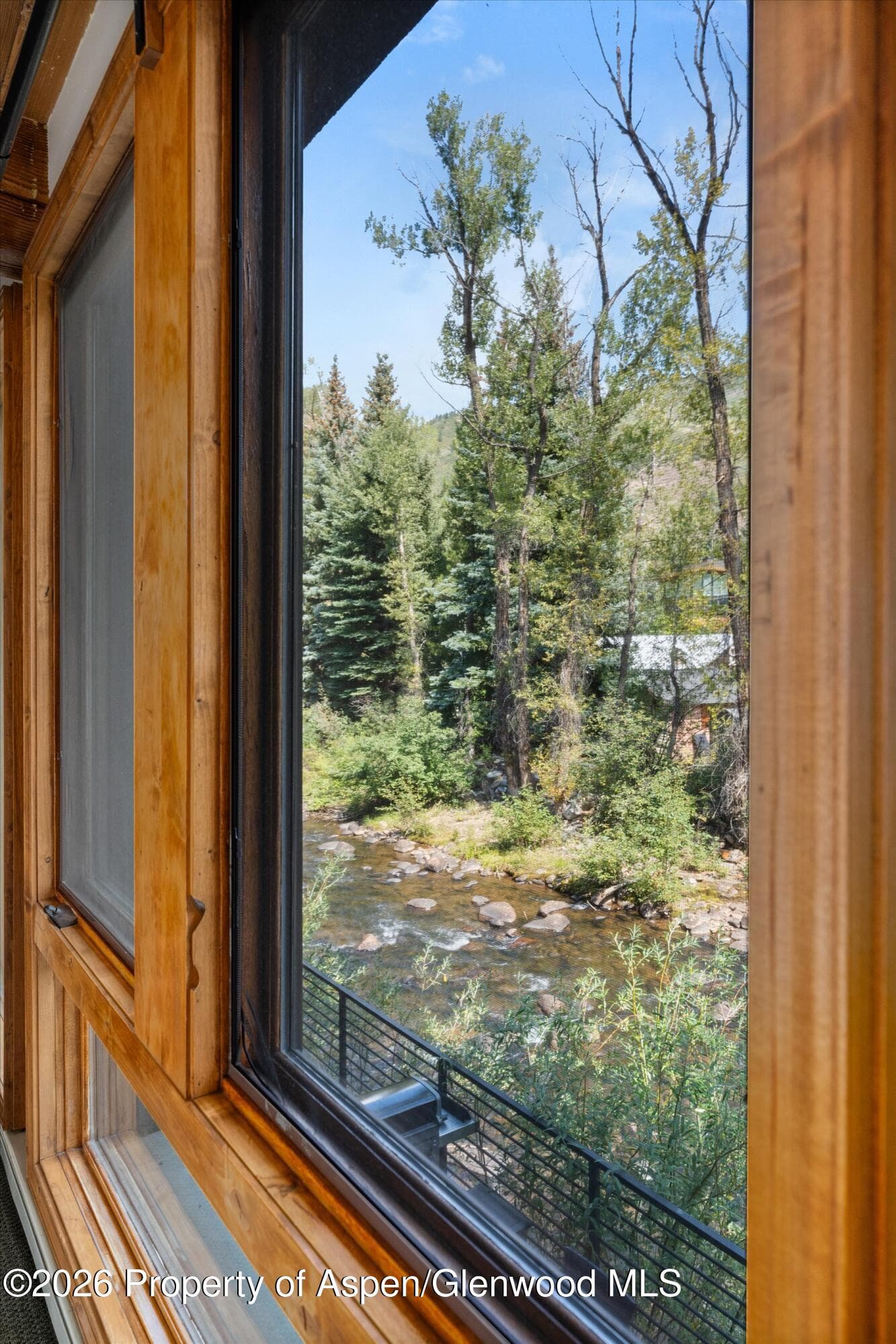 1039 E Cooper Avenue 19a & 21a, Aspen, CO 81611 - Photo 10