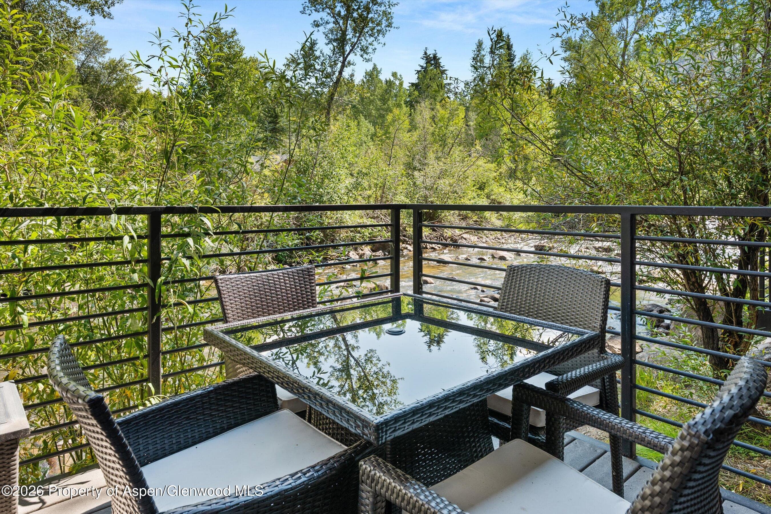 1039 E Cooper Avenue 19a & 21a, Aspen, CO 81611 - Photo 21