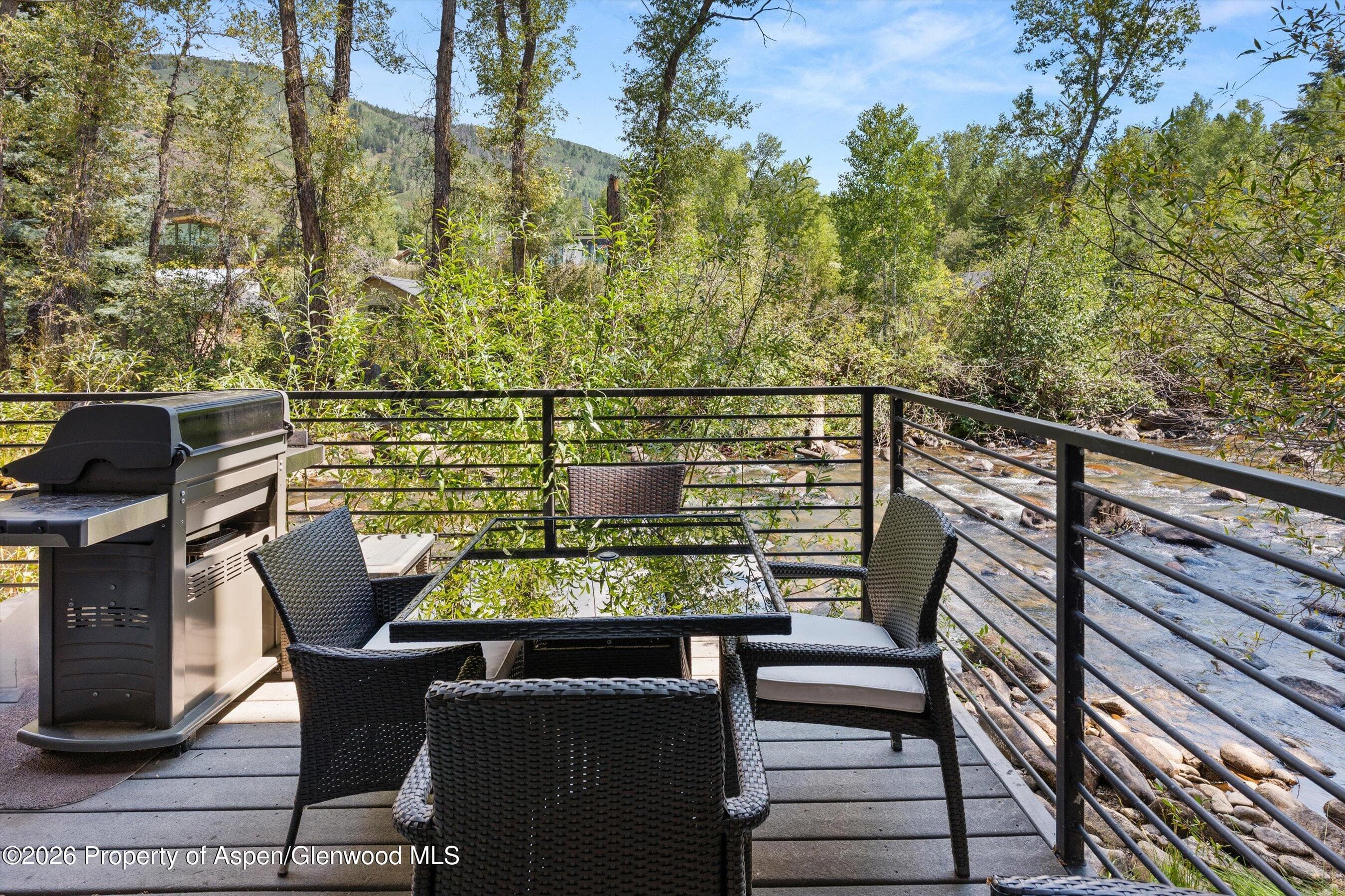 1039 E Cooper Avenue 19a & 21a, Aspen, CO 81611 - Photo 22
