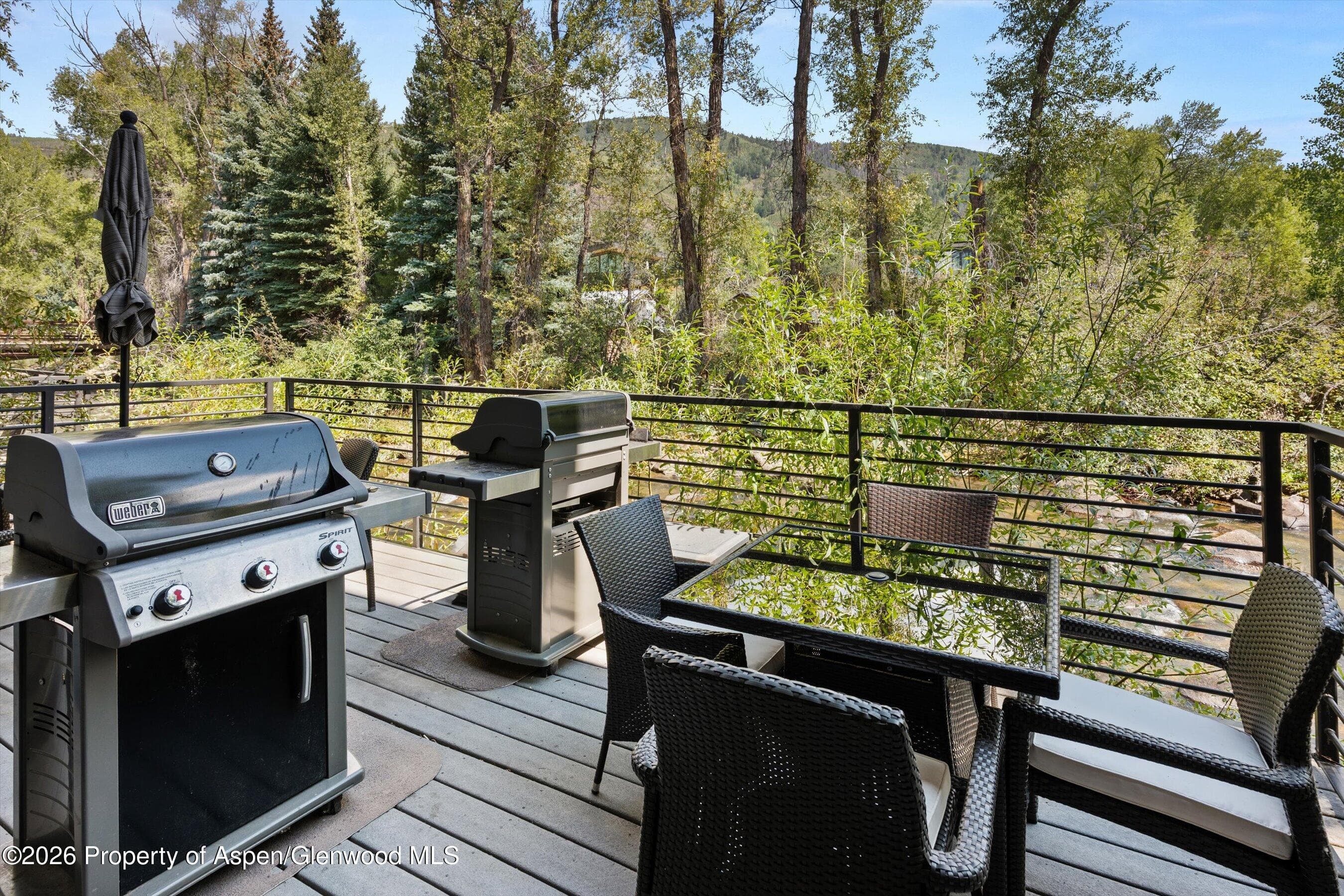 1039 E Cooper Avenue 19a & 21a, Aspen, CO 81611 - Photo 23