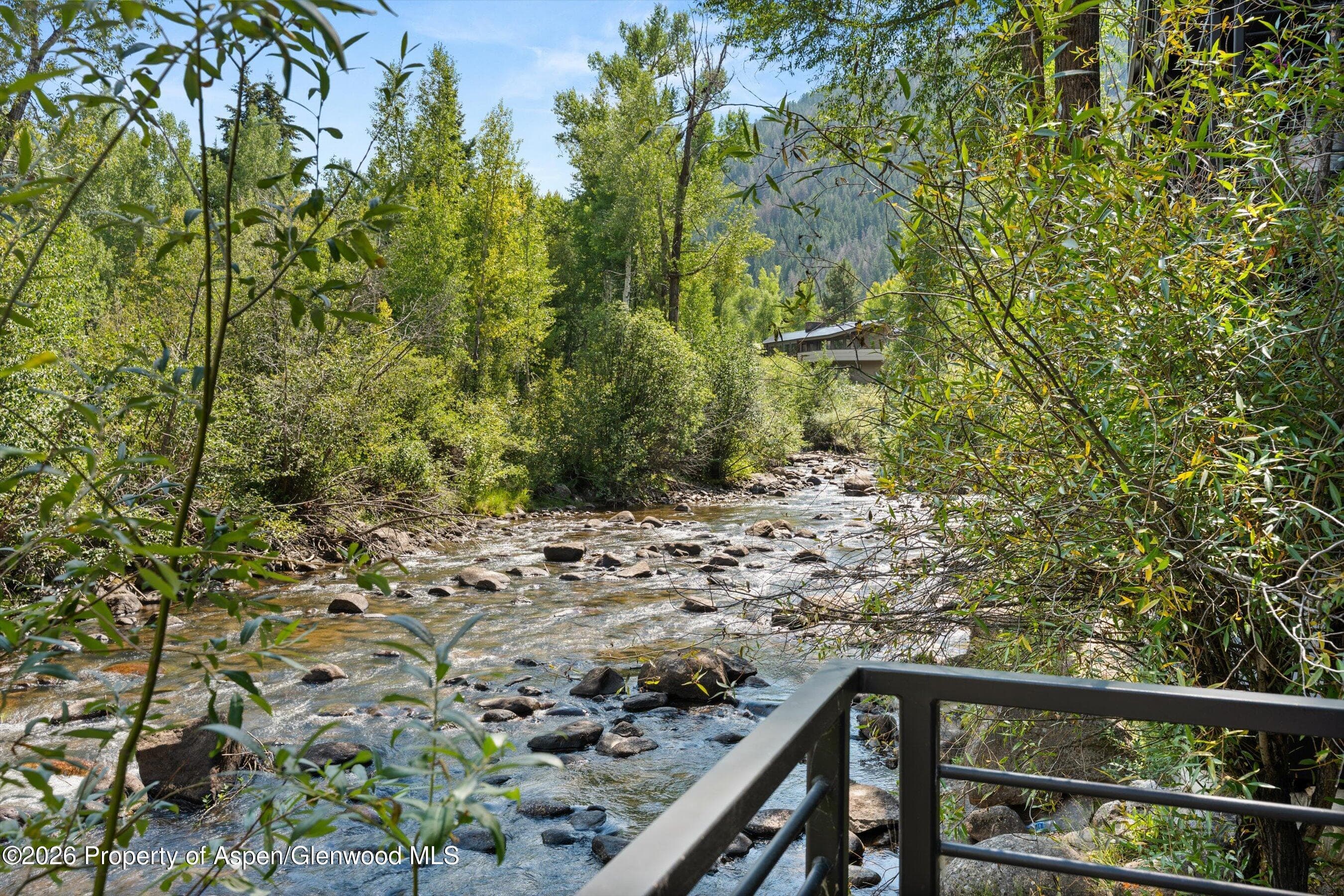 1039 E Cooper Avenue 19a & 21a, Aspen, CO 81611 - Photo 32