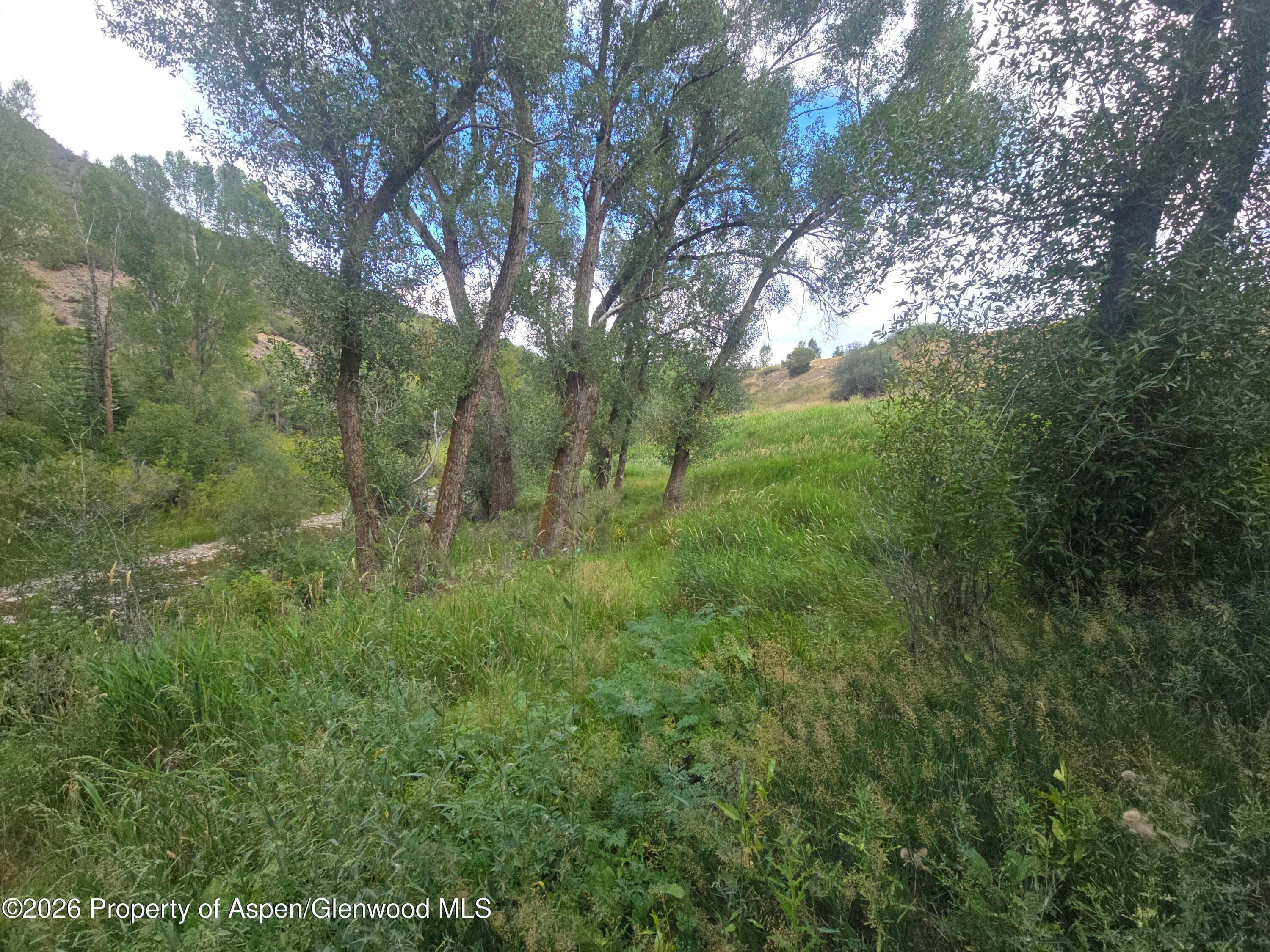 30603 Colorado Hwy 82, Snowmass, CO 81654 - Photo 4