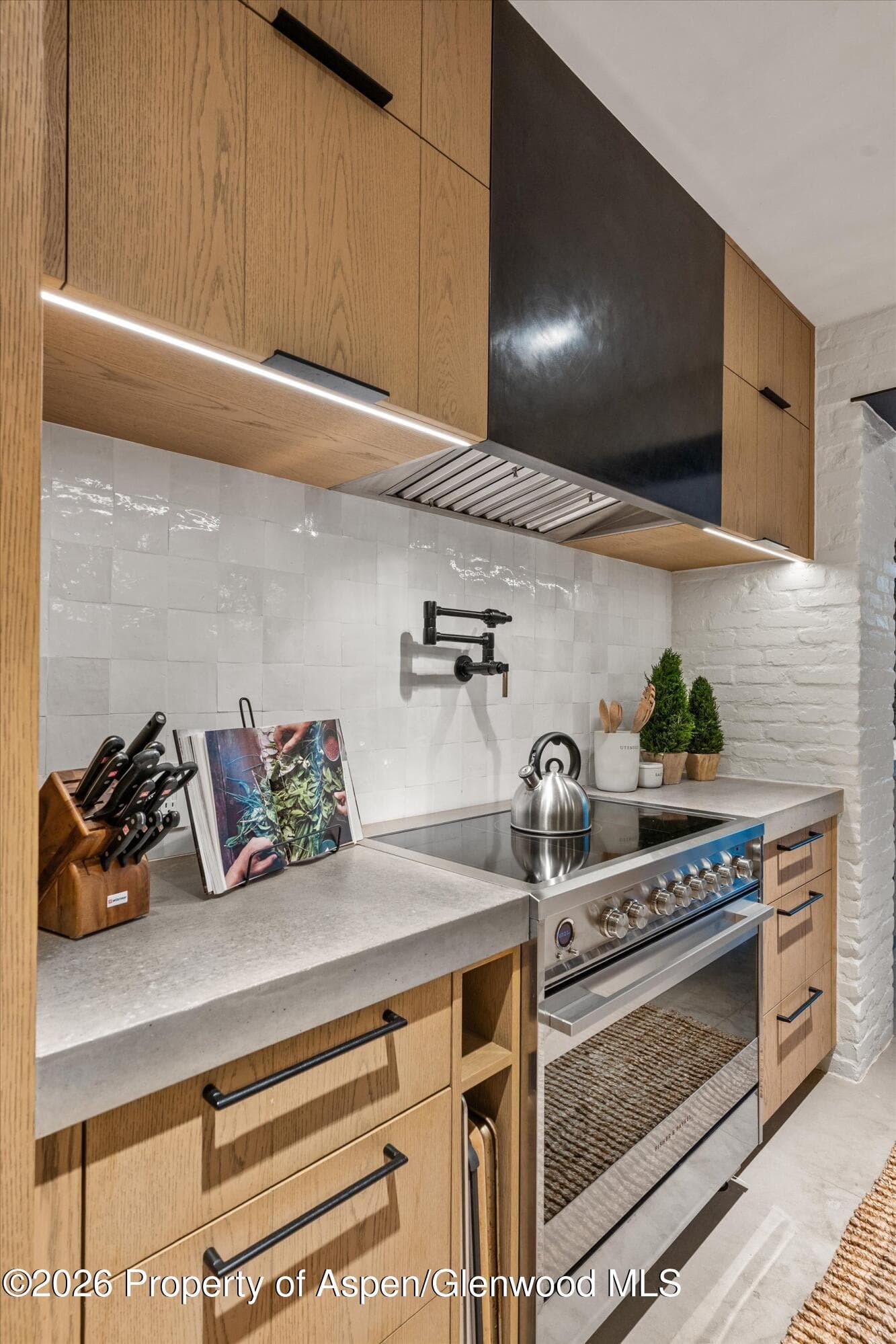 941 Little Annie Road, Aspen, CO 81612 - Photo 8