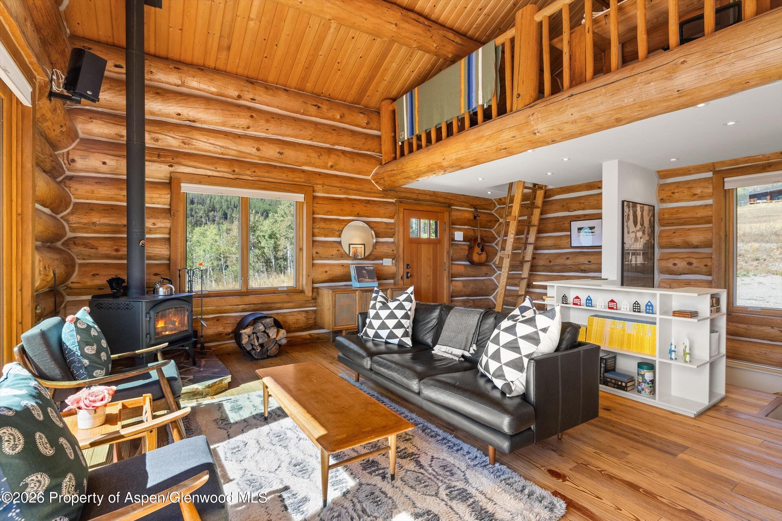 1301 Mclaughlin Lane, Basalt, CO 81621 - Photo 8