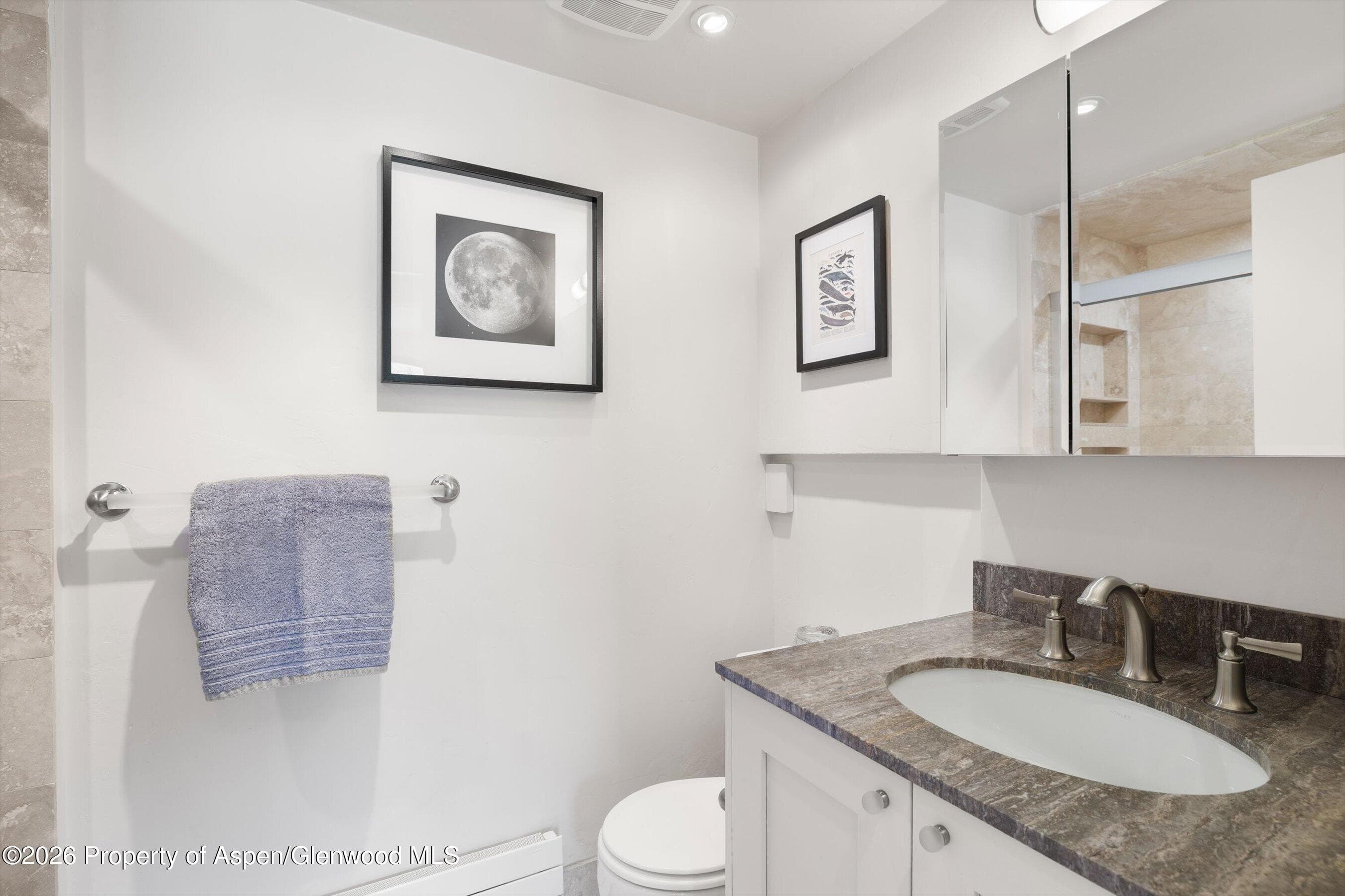 1301 Mclaughlin Lane, Basalt, CO 81621 - Photo 21