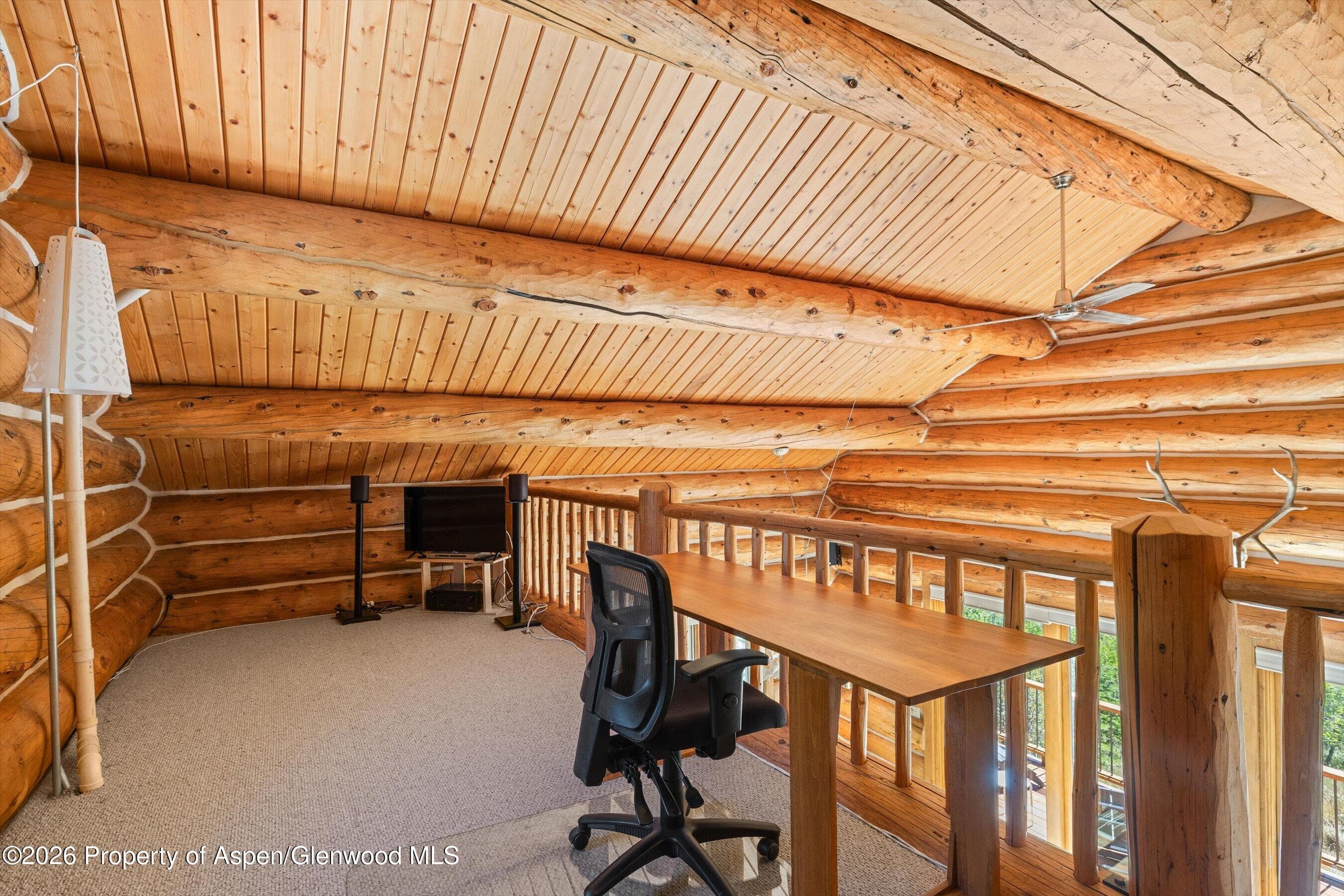 1301 Mclaughlin Lane, Basalt, CO 81621 - Photo 29