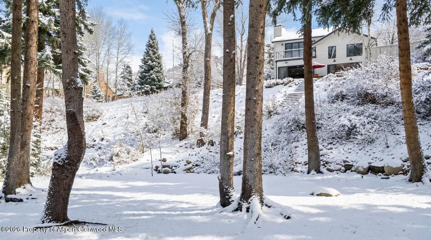 117 S Little Texas Lane, Woody Creek, CO 81656 - Photo 41
