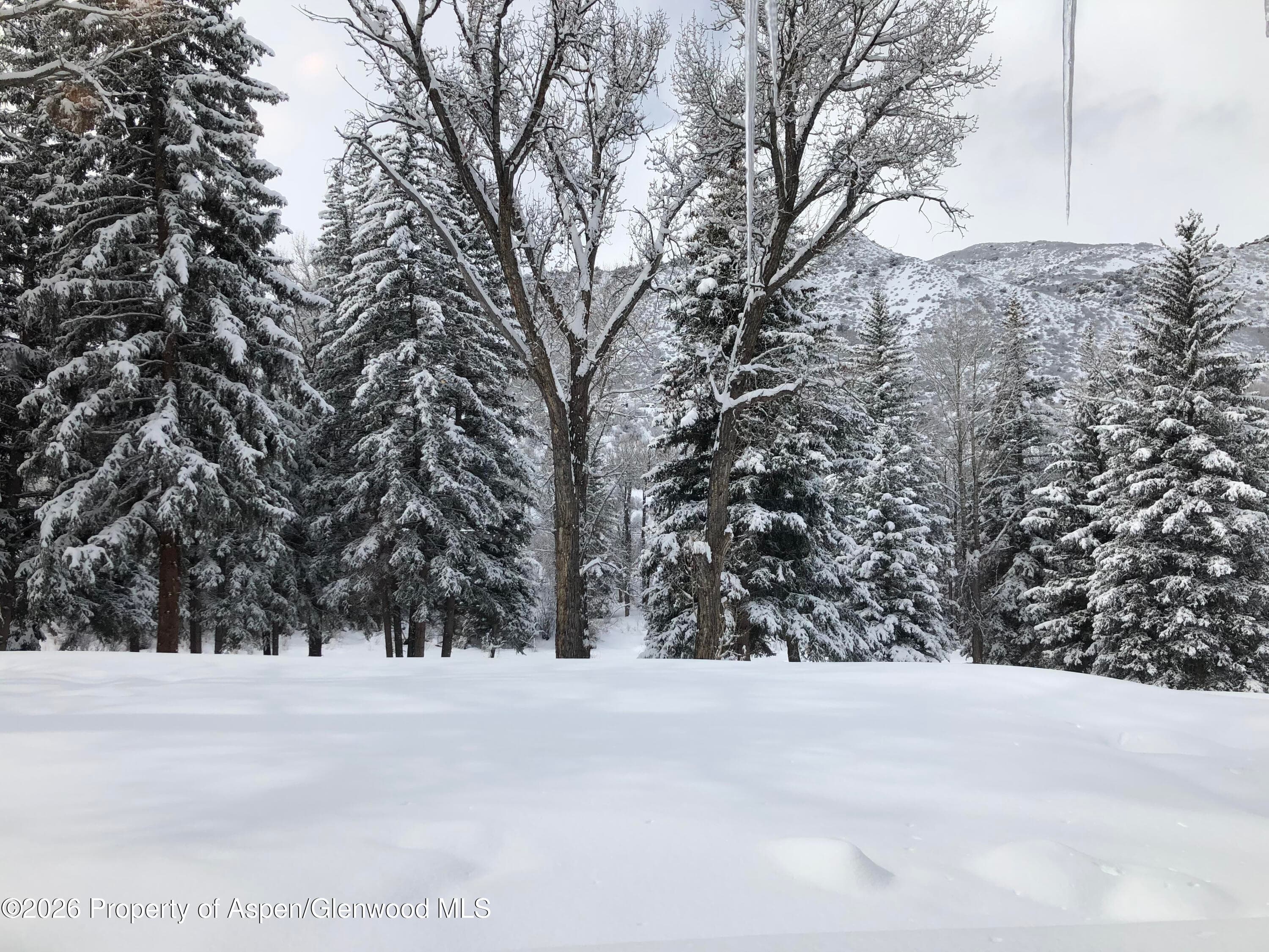 117 S Little Texas Lane, Woody Creek, CO 81656 - Photo 42