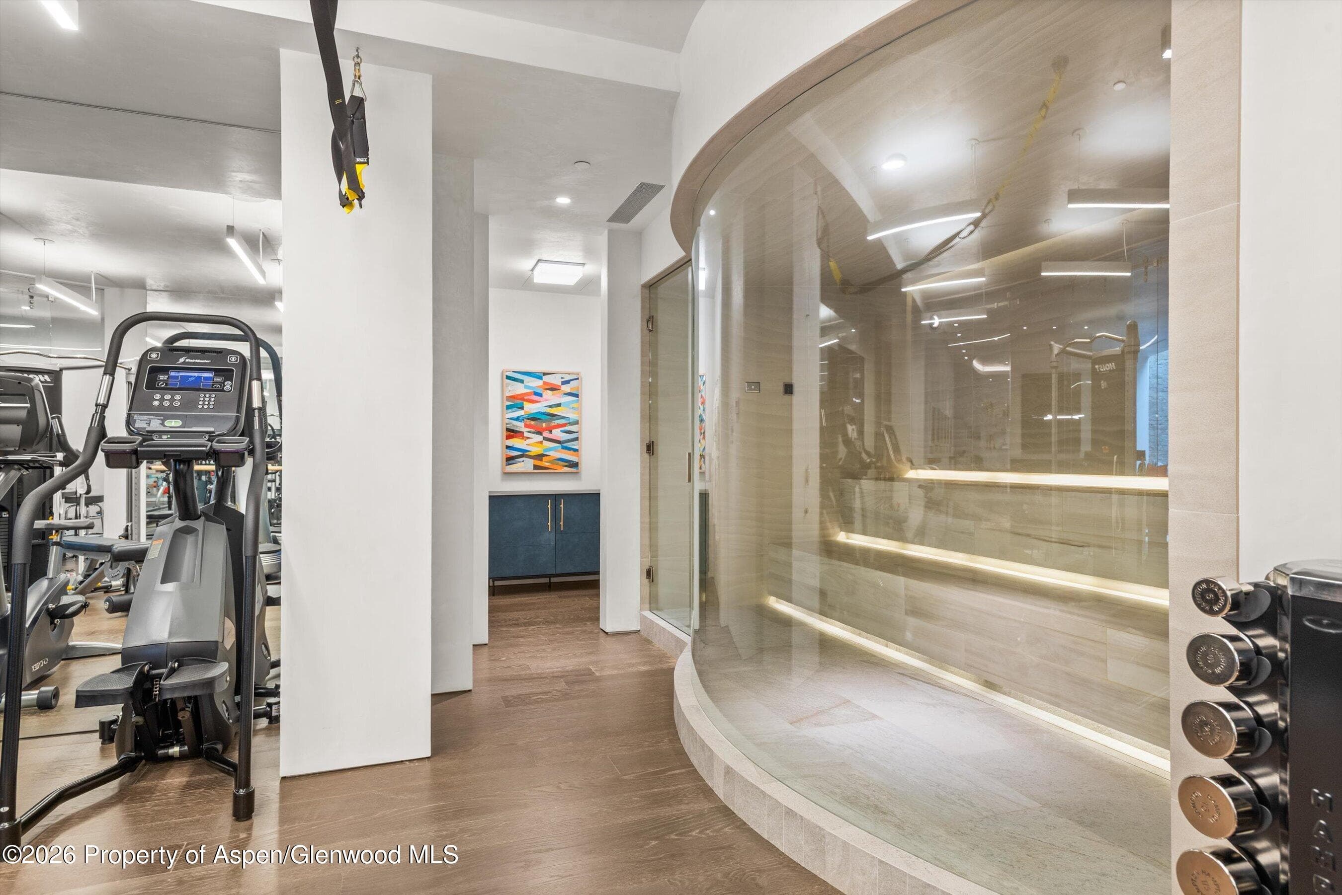 19 Little Cloud Trail, Aspen, CO 81611 - Photo 33