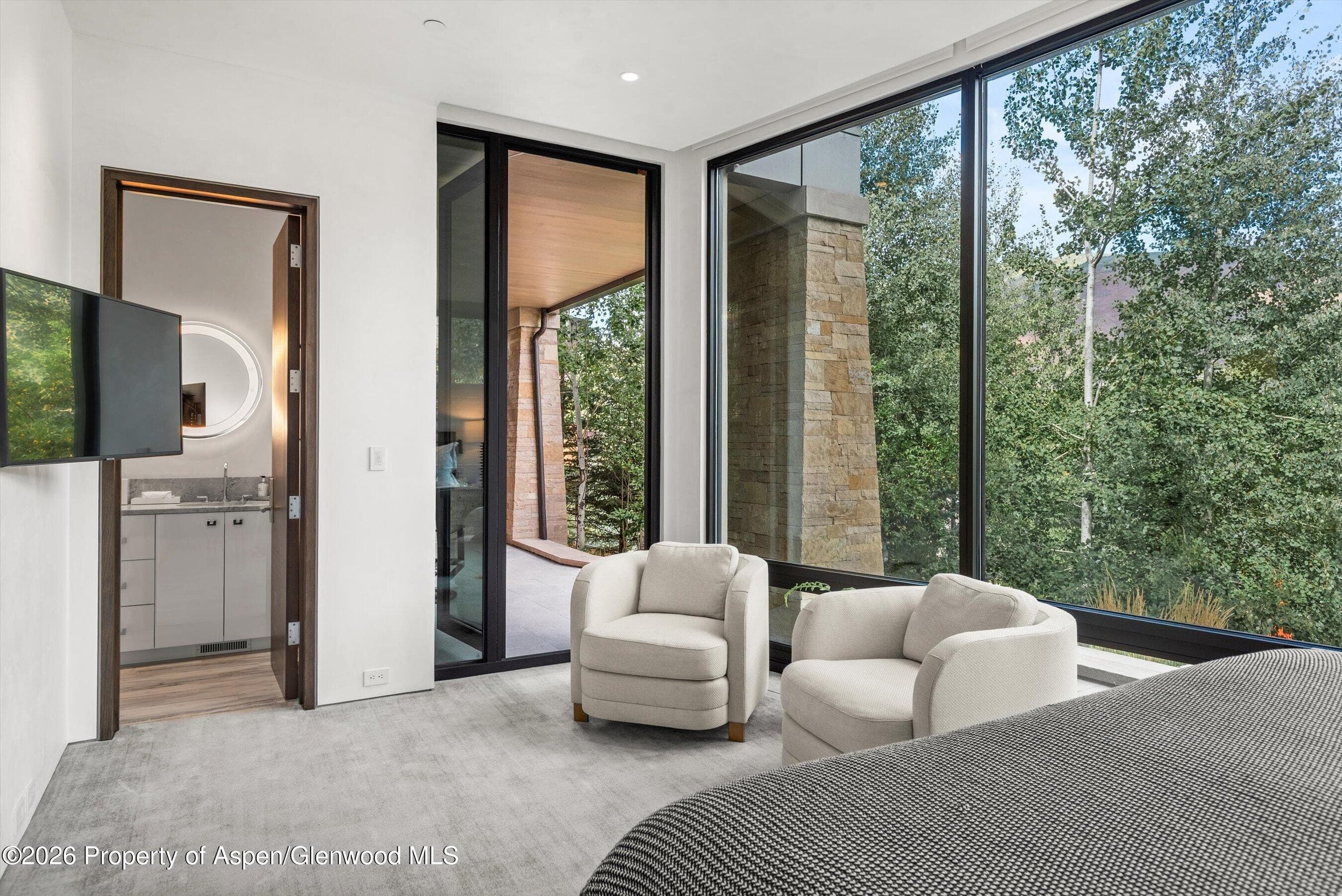 19 Little Cloud Trail, Aspen, CO 81611 - Photo 47