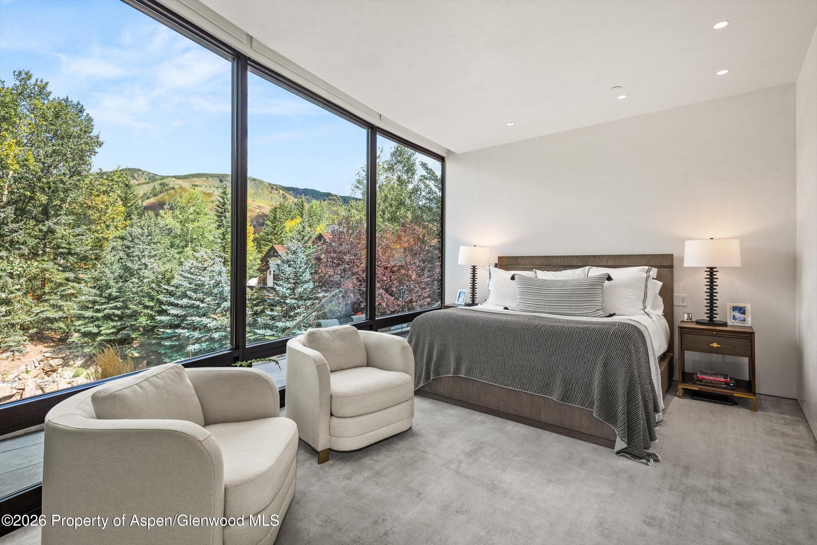 19 Little Cloud Trail, Aspen, CO 81611 - Photo 48