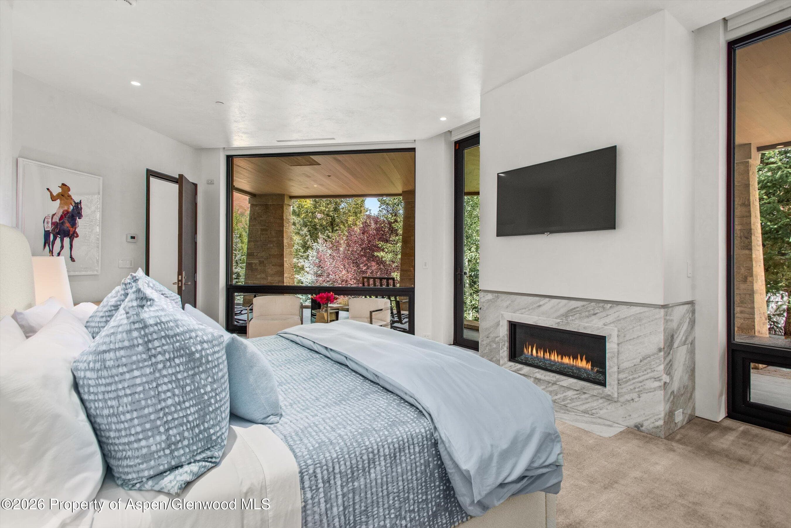 19 Little Cloud Trail, Aspen, CO 81611 - Photo 53