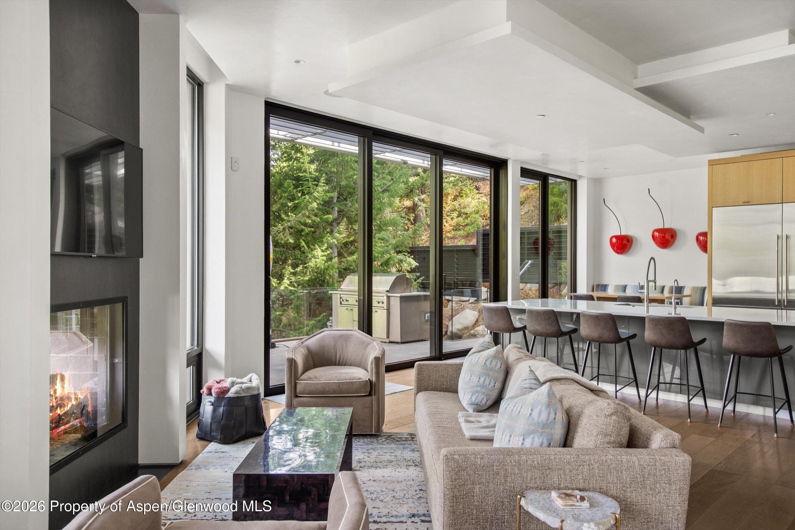 19 Little Cloud Trail, Aspen, CO 81611 - Photo 66