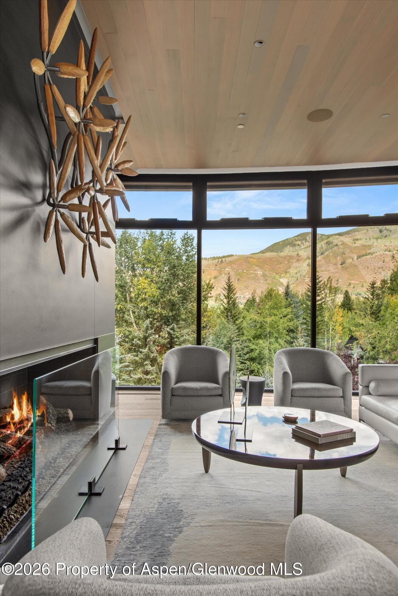 19 Little Cloud Trail, Aspen, CO 81611 - Photo 69