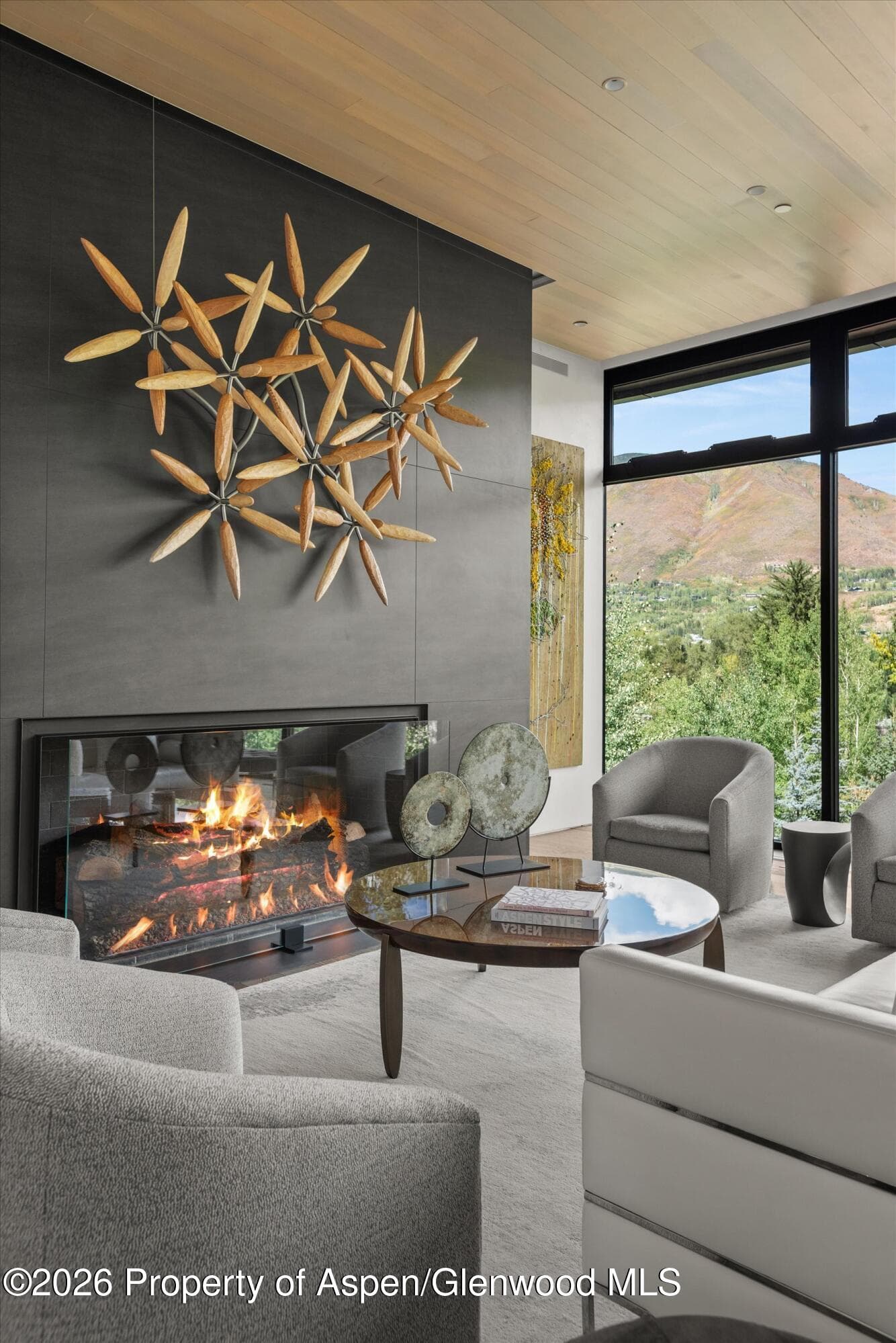 19 Little Cloud Trail, Aspen, CO 81611 - Photo 70