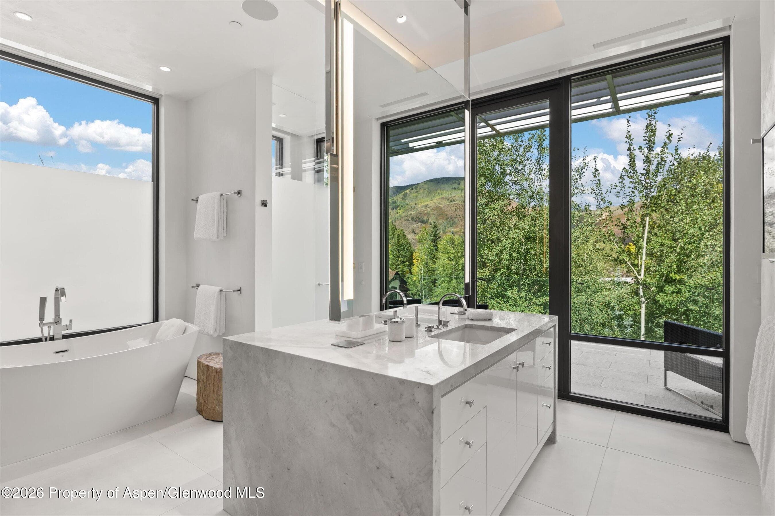 19 Little Cloud Trail, Aspen, CO 81611 - Photo 84