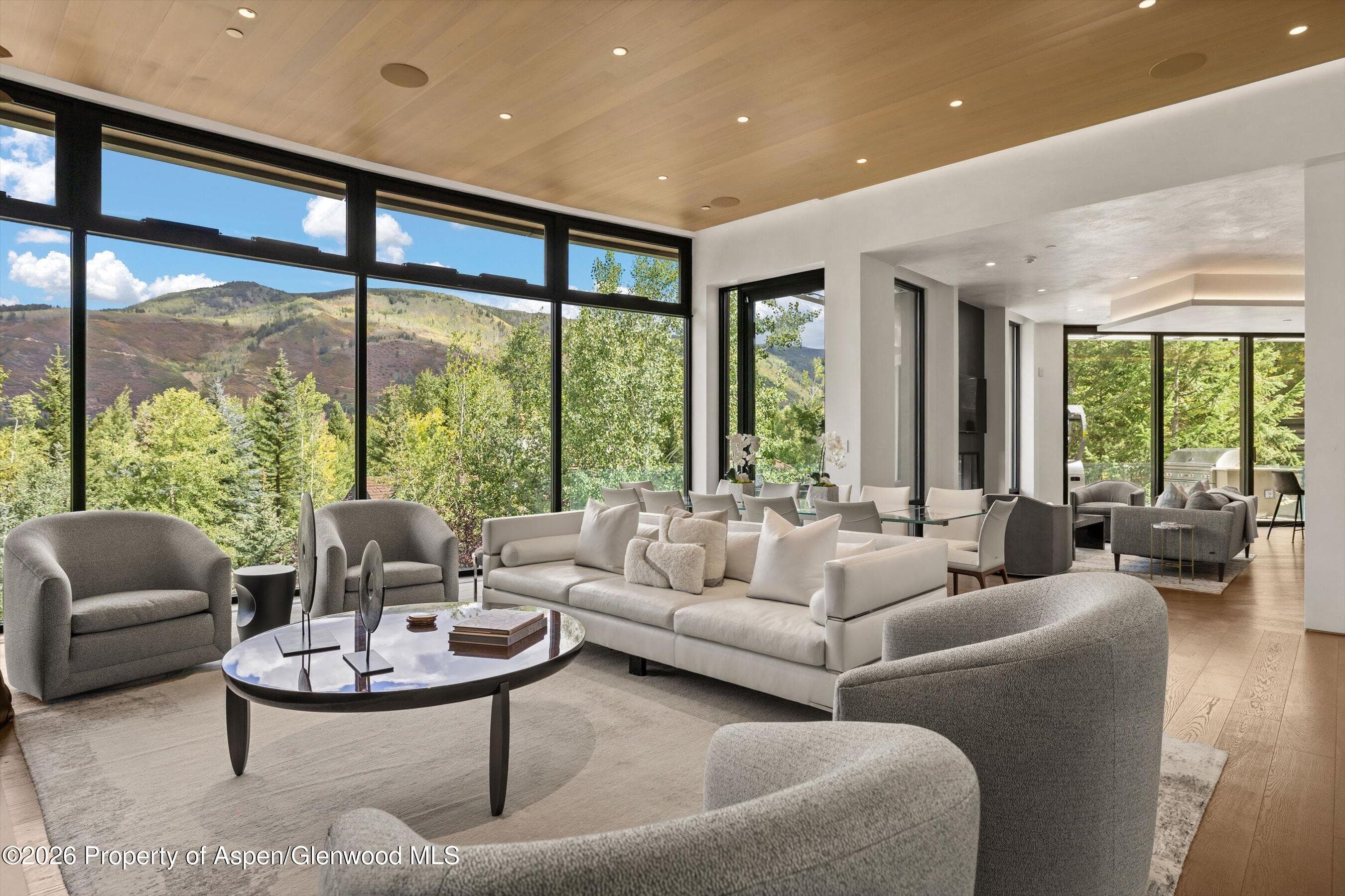 19 Little Cloud Trail, Aspen, CO 81611 - Photo 87