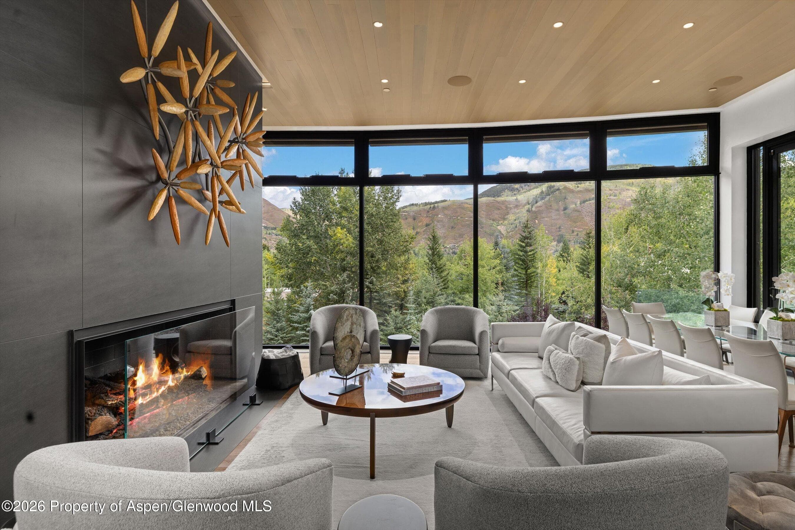 19 Little Cloud Trail, Aspen, CO 81611 - Photo 2