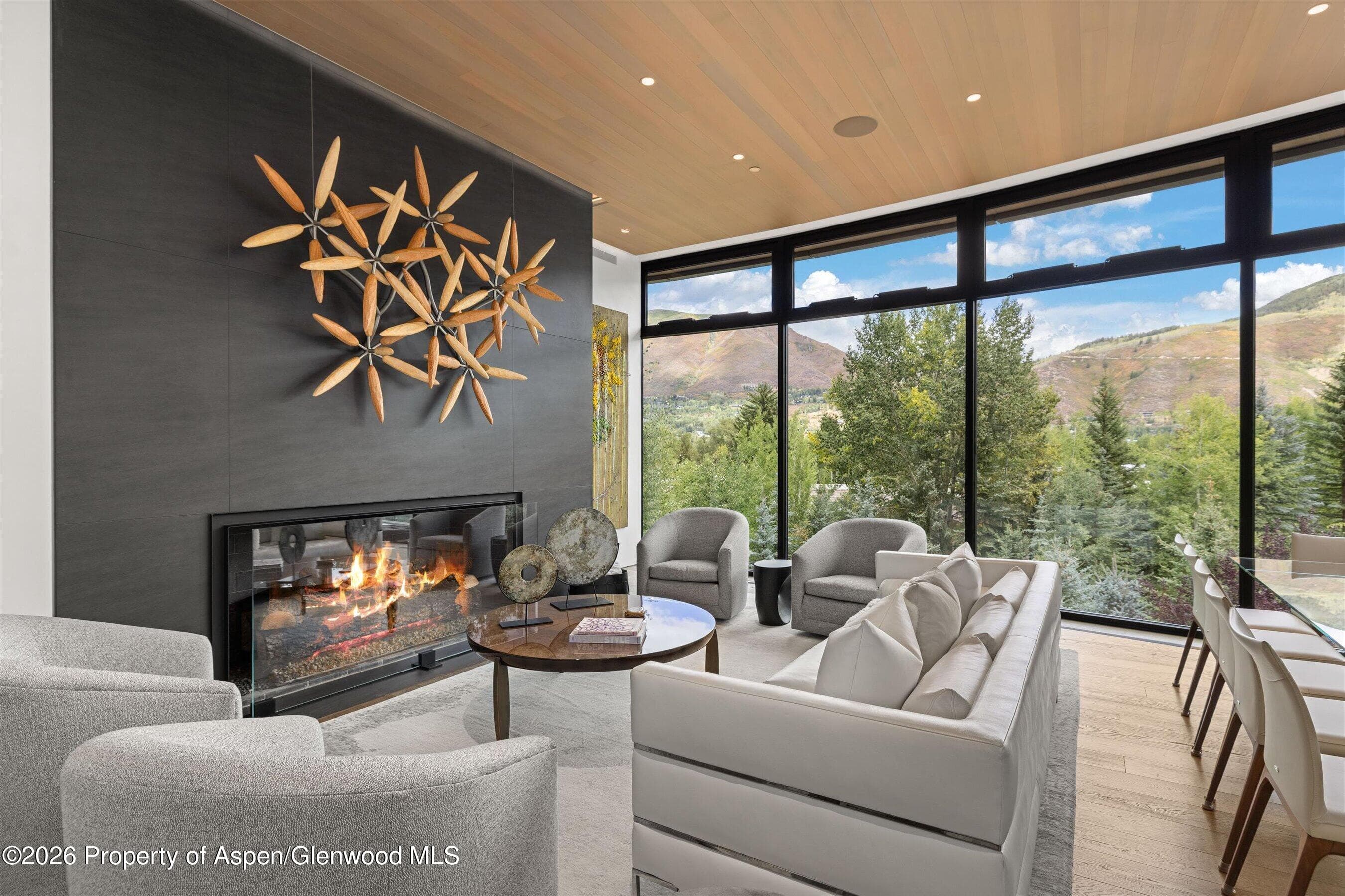 19 Little Cloud Trail, Aspen, CO 81611 - Photo 89