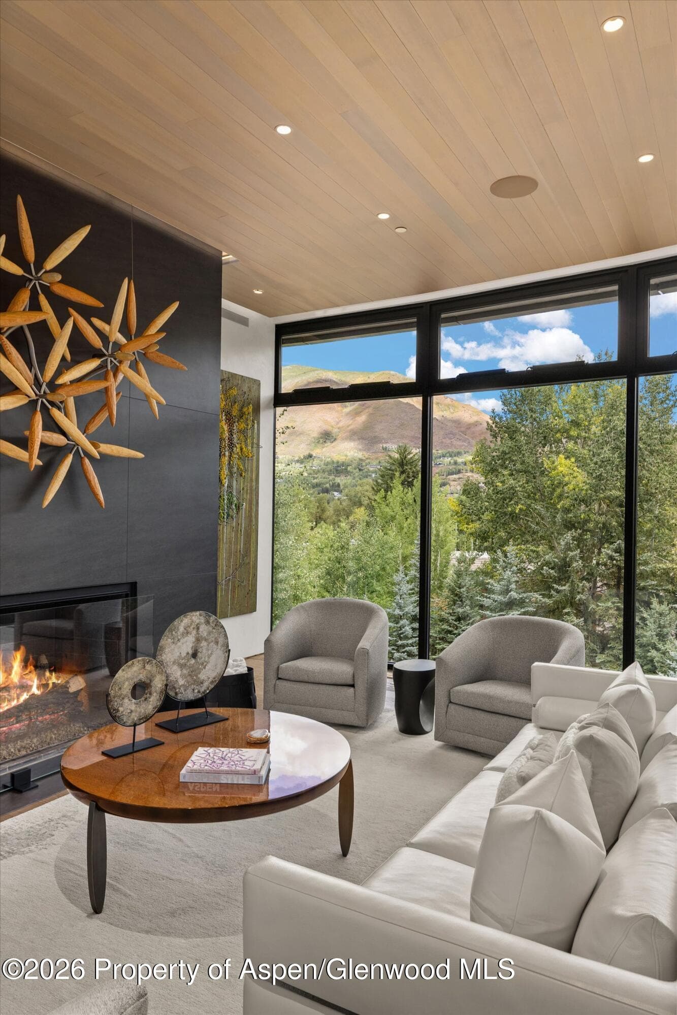 19 Little Cloud Trail, Aspen, CO 81611 - Photo 91