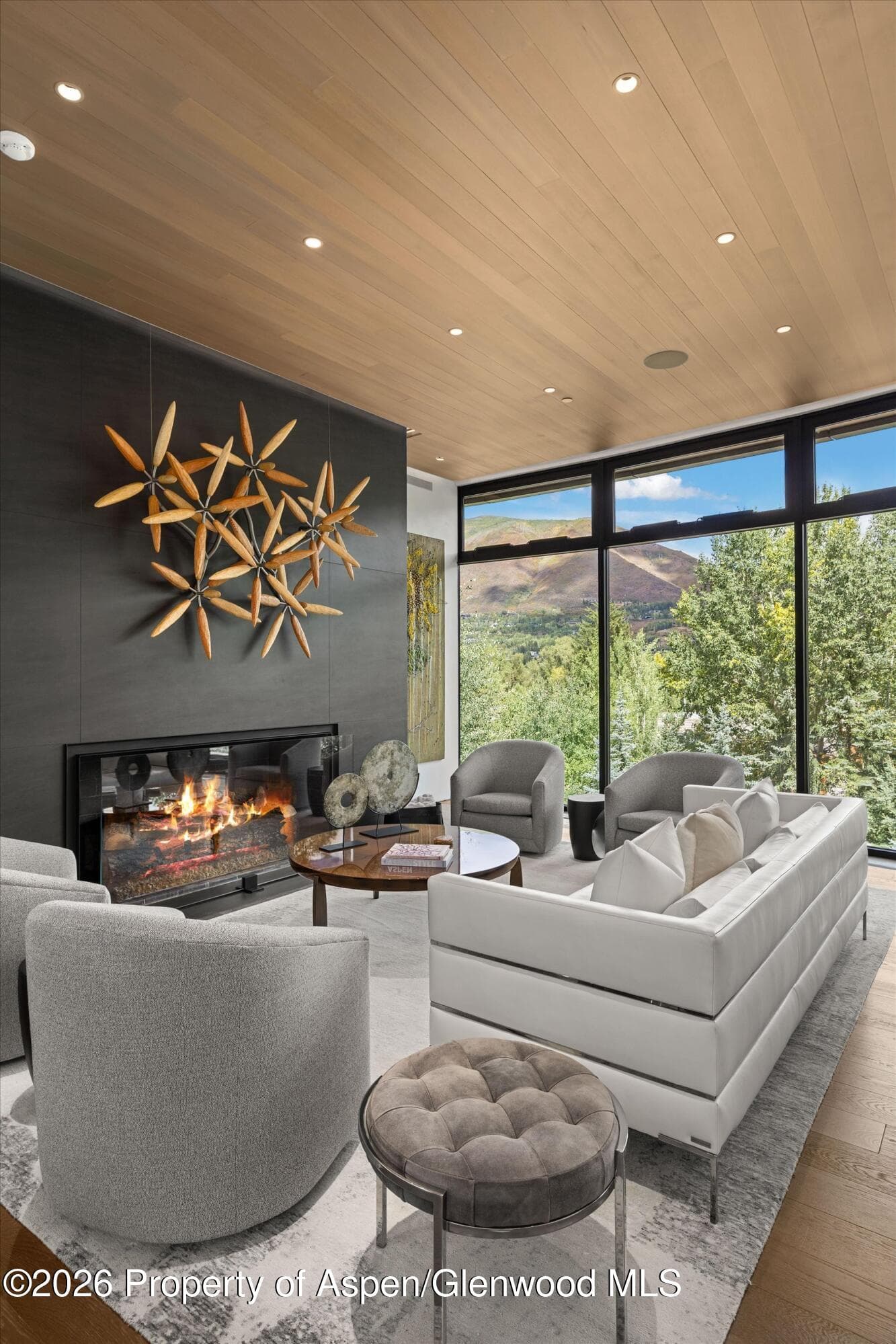 19 Little Cloud Trail, Aspen, CO 81611 - Photo 92