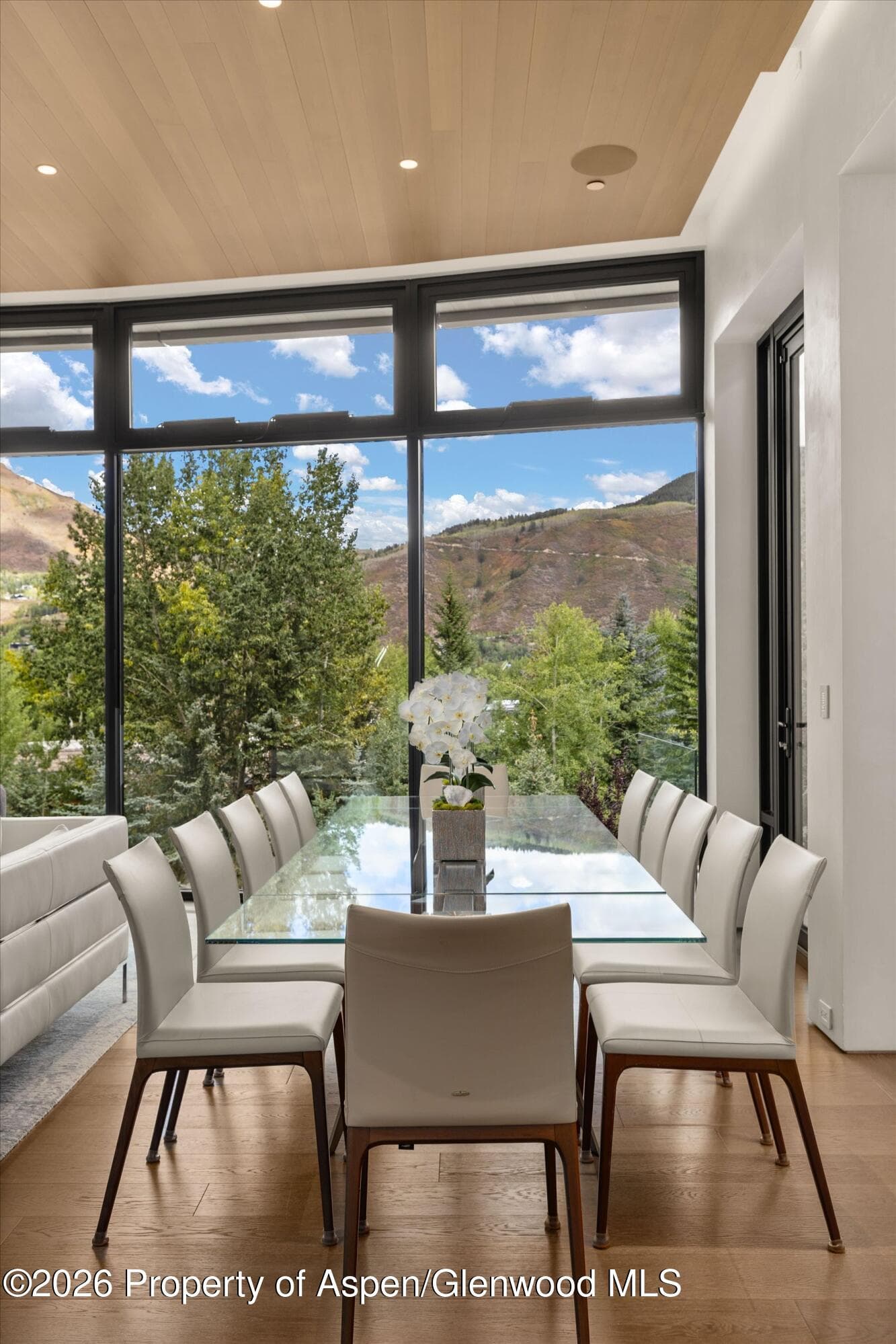 19 Little Cloud Trail, Aspen, CO 81611 - Photo 97