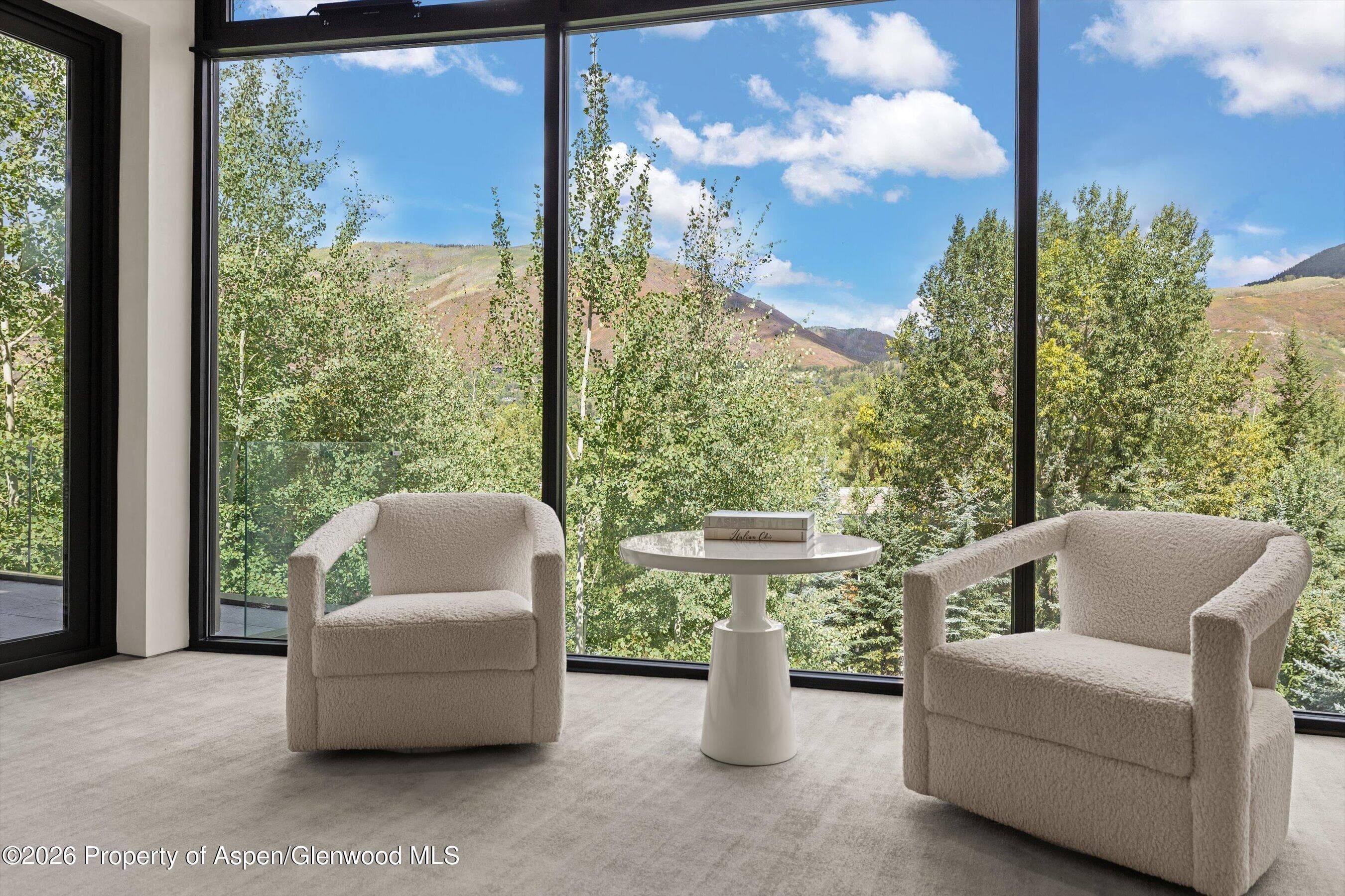 19 Little Cloud Trail, Aspen, CO 81611 - Photo 112
