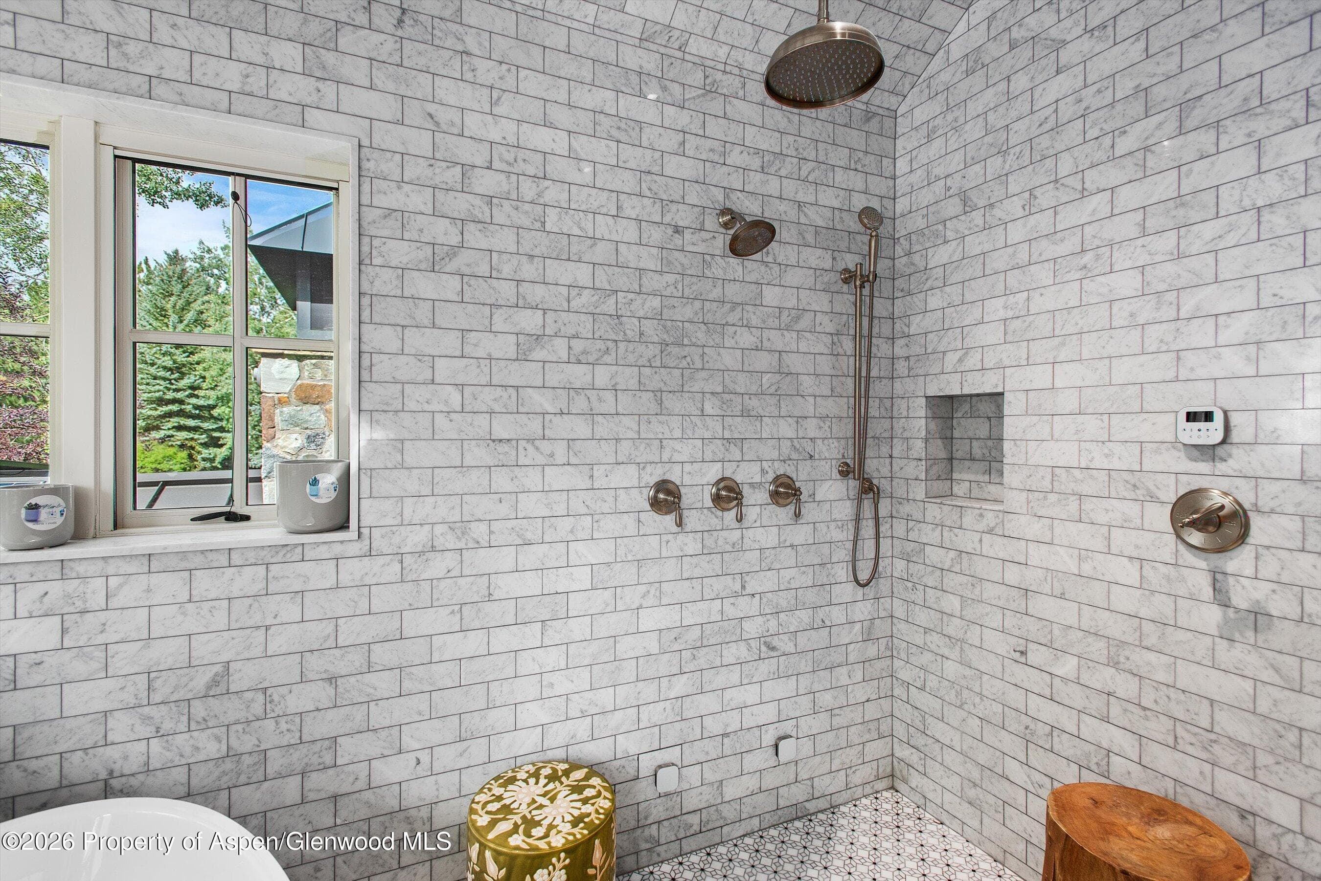 1230 Snowbunny Lane, Aspen, CO 81611 - Photo 33