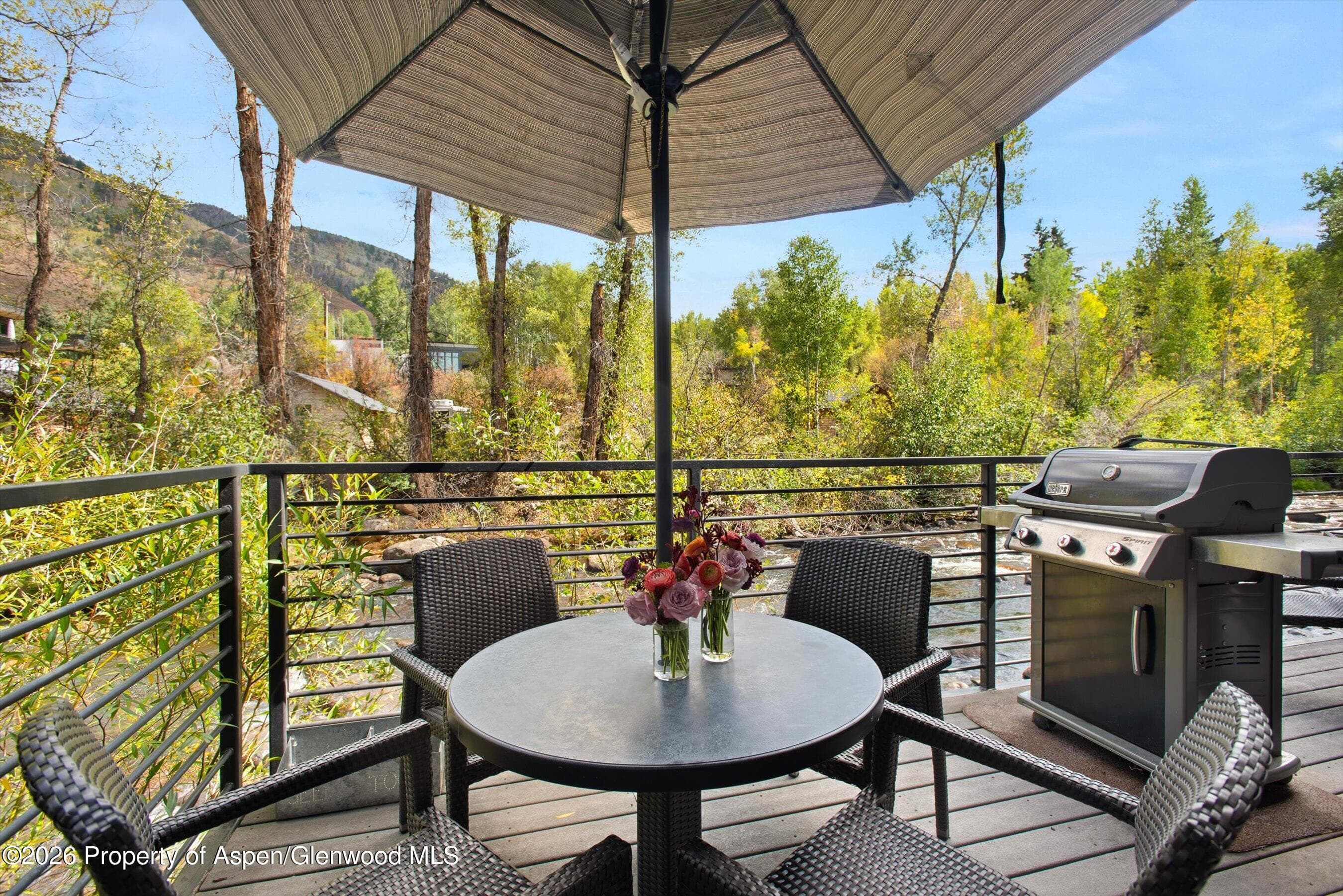 1039 E Cooper Avenue 19a & 21a, Aspen, CO 81611 - Photo 27