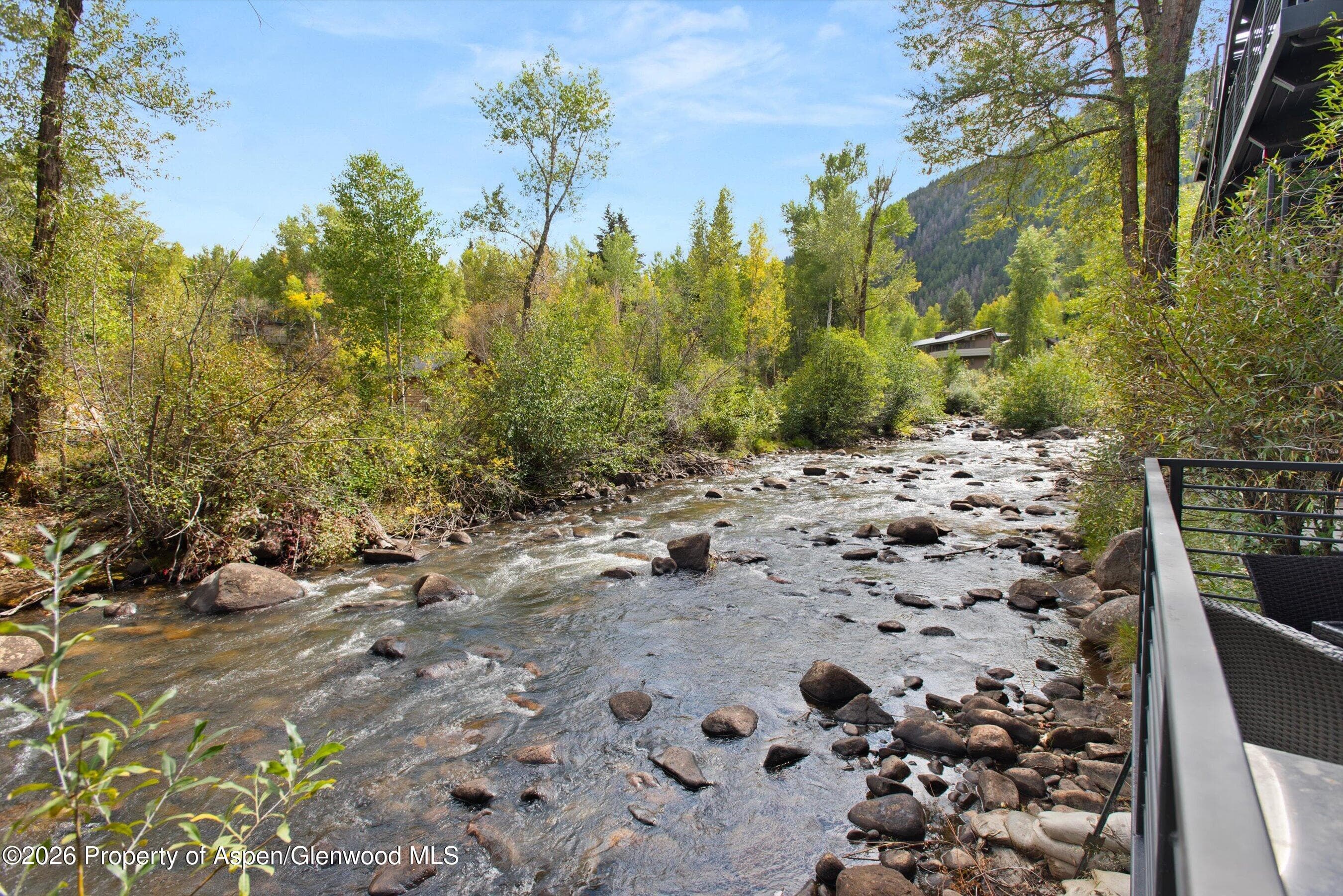 1039 E Cooper Avenue 19a & 21a, Aspen, CO 81611 - Photo 29