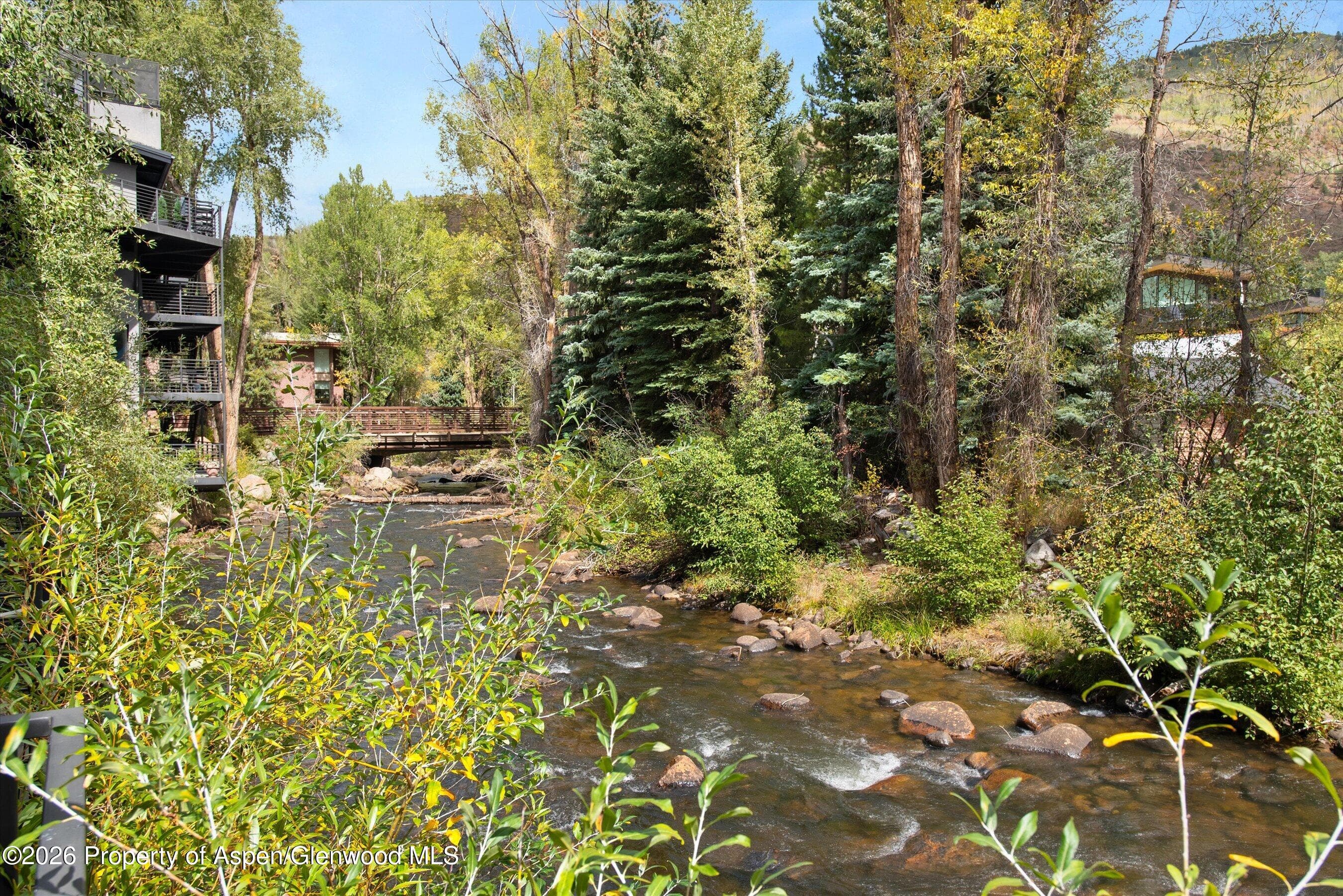 1039 E Cooper Avenue 19a & 21a, Aspen, CO 81611 - Photo 30