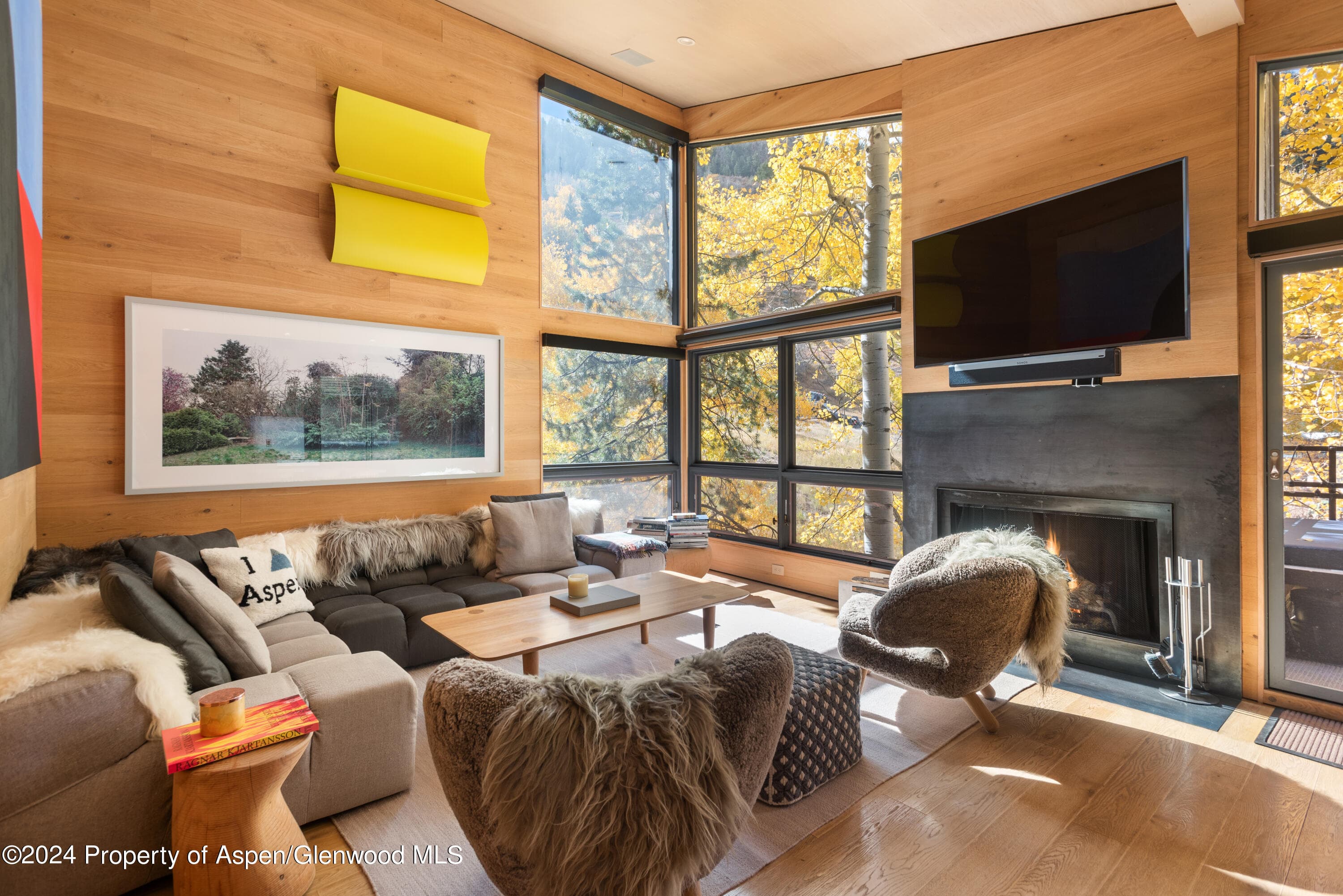 800 S Monarch Street Unit 9, Aspen, CO 81611 - Photo 4