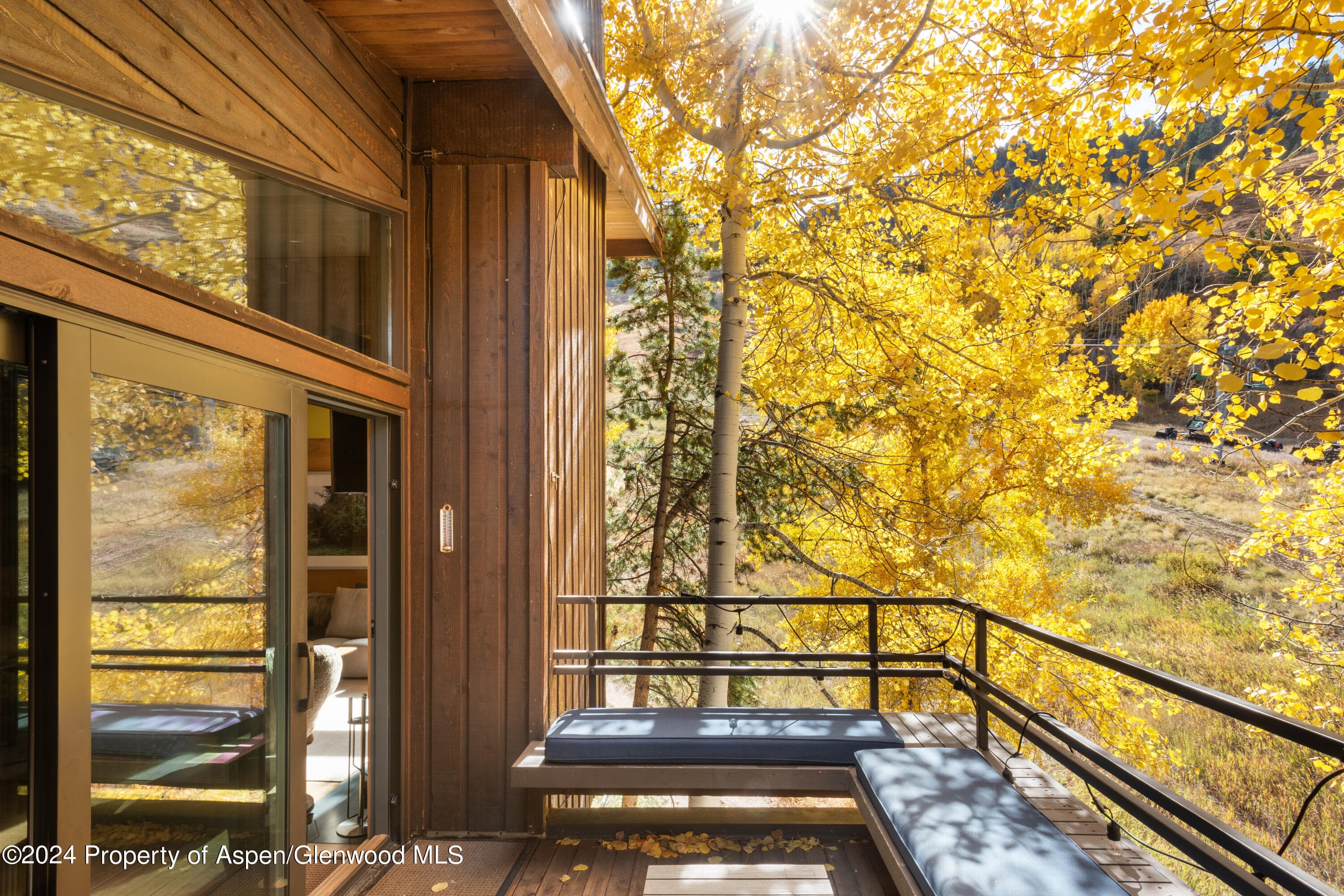 800 S Monarch Street Unit 9, Aspen, CO 81611 - Photo 9