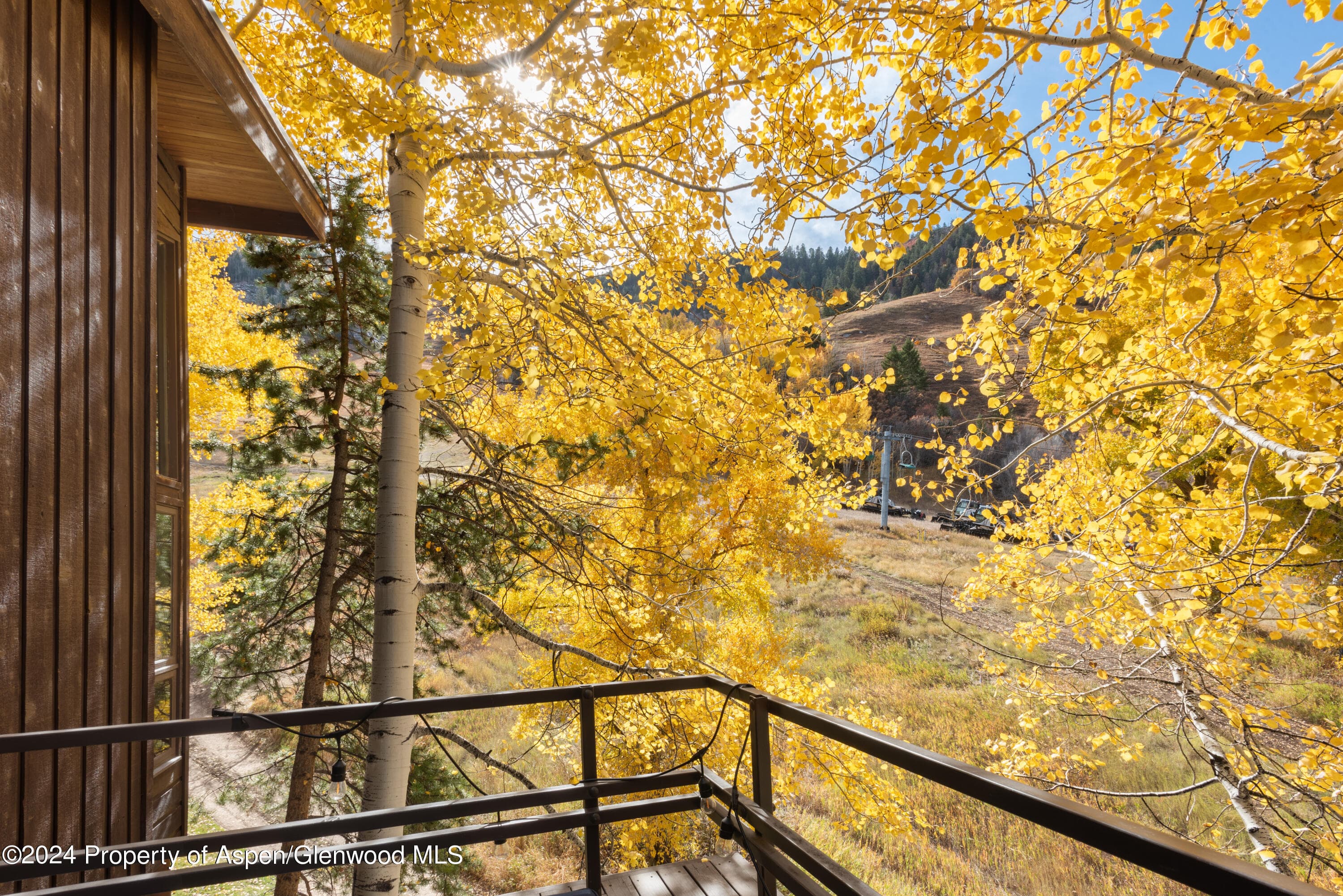800 S Monarch Street Unit 9, Aspen, CO 81611 - Photo 10