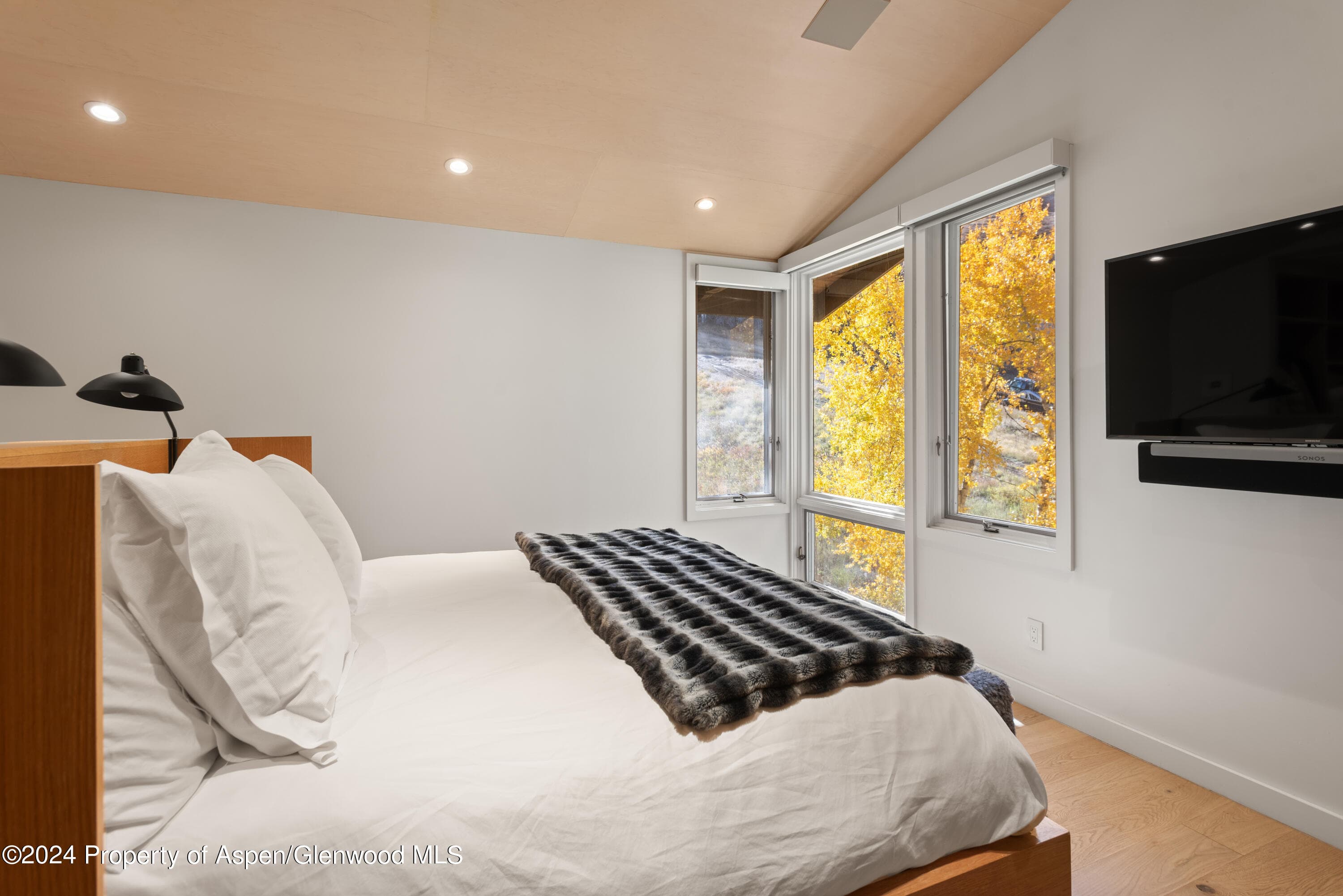 800 S Monarch Street Unit 9, Aspen, CO 81611 - Photo 18
