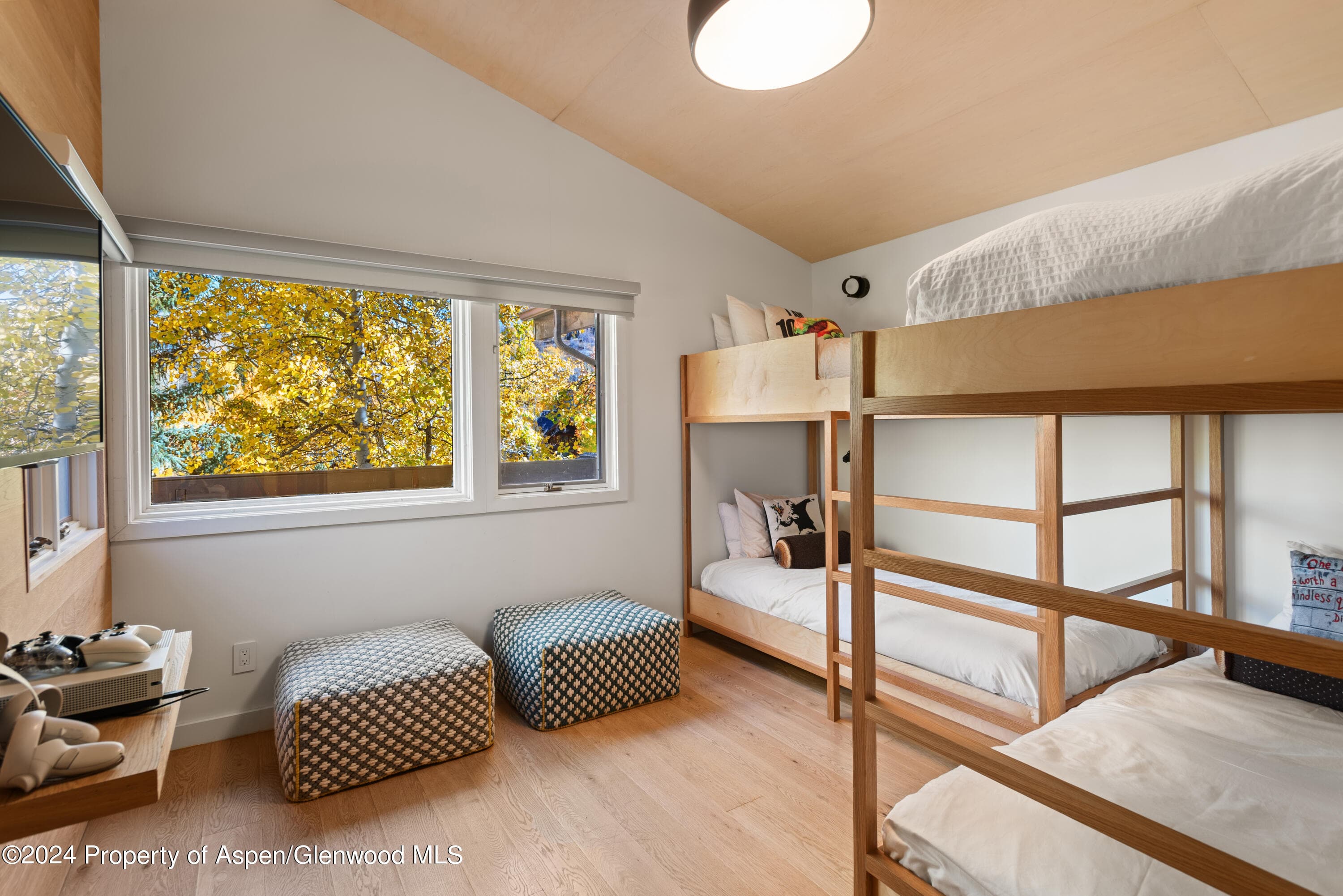 800 S Monarch Street Unit 9, Aspen, CO 81611 - Photo 21