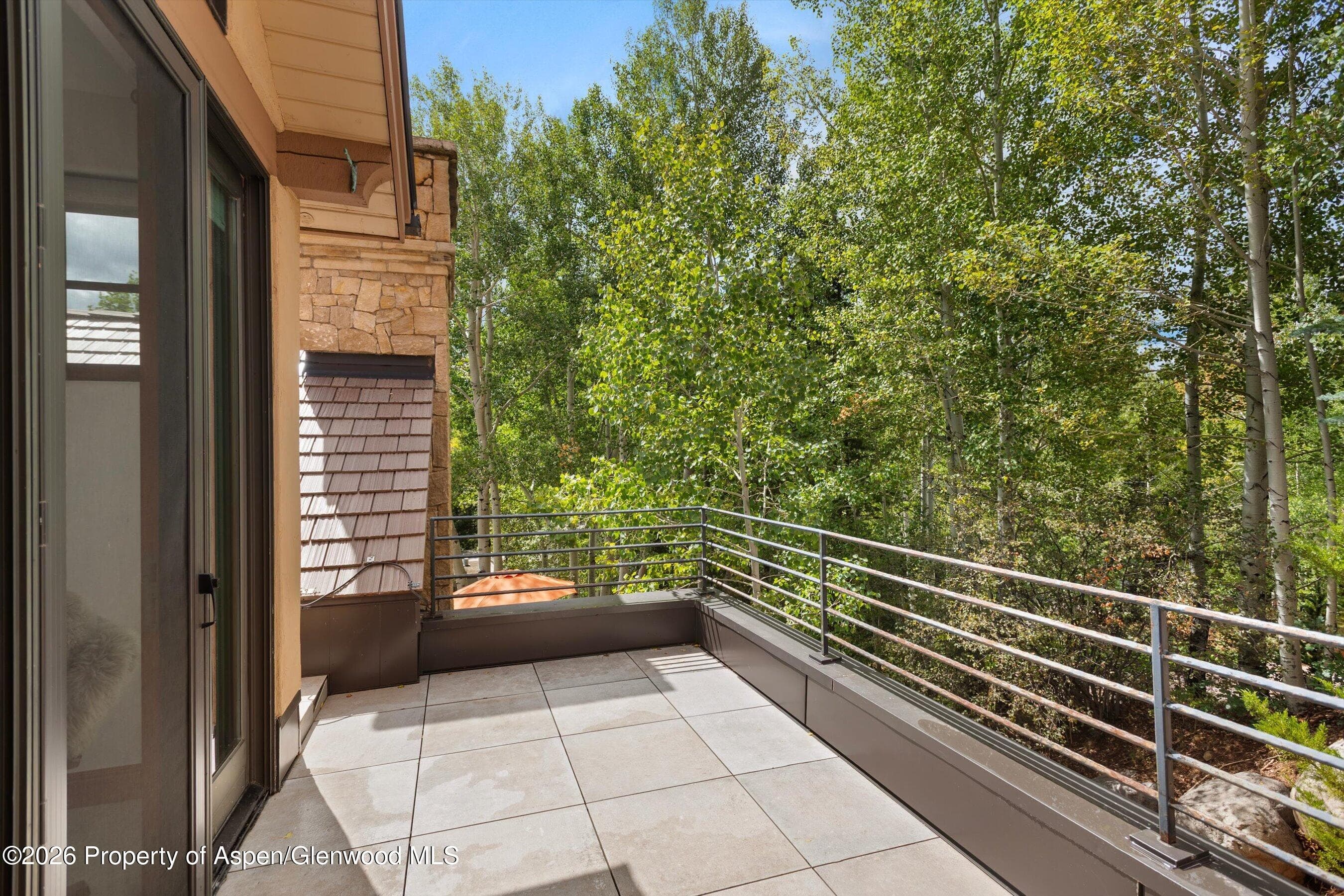 1540 Silver King Drive, Aspen, CO 81611 - Photo 24