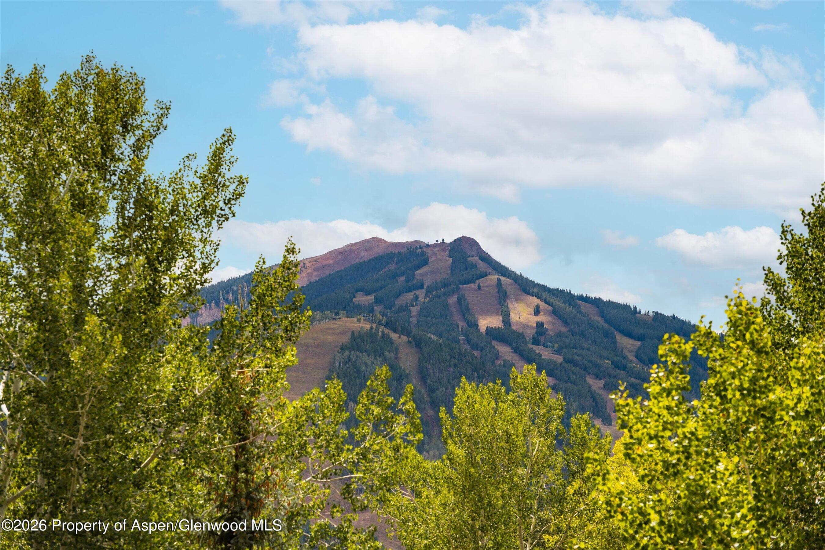 1540 Silver King Drive, Aspen, CO 81611 - Photo 32