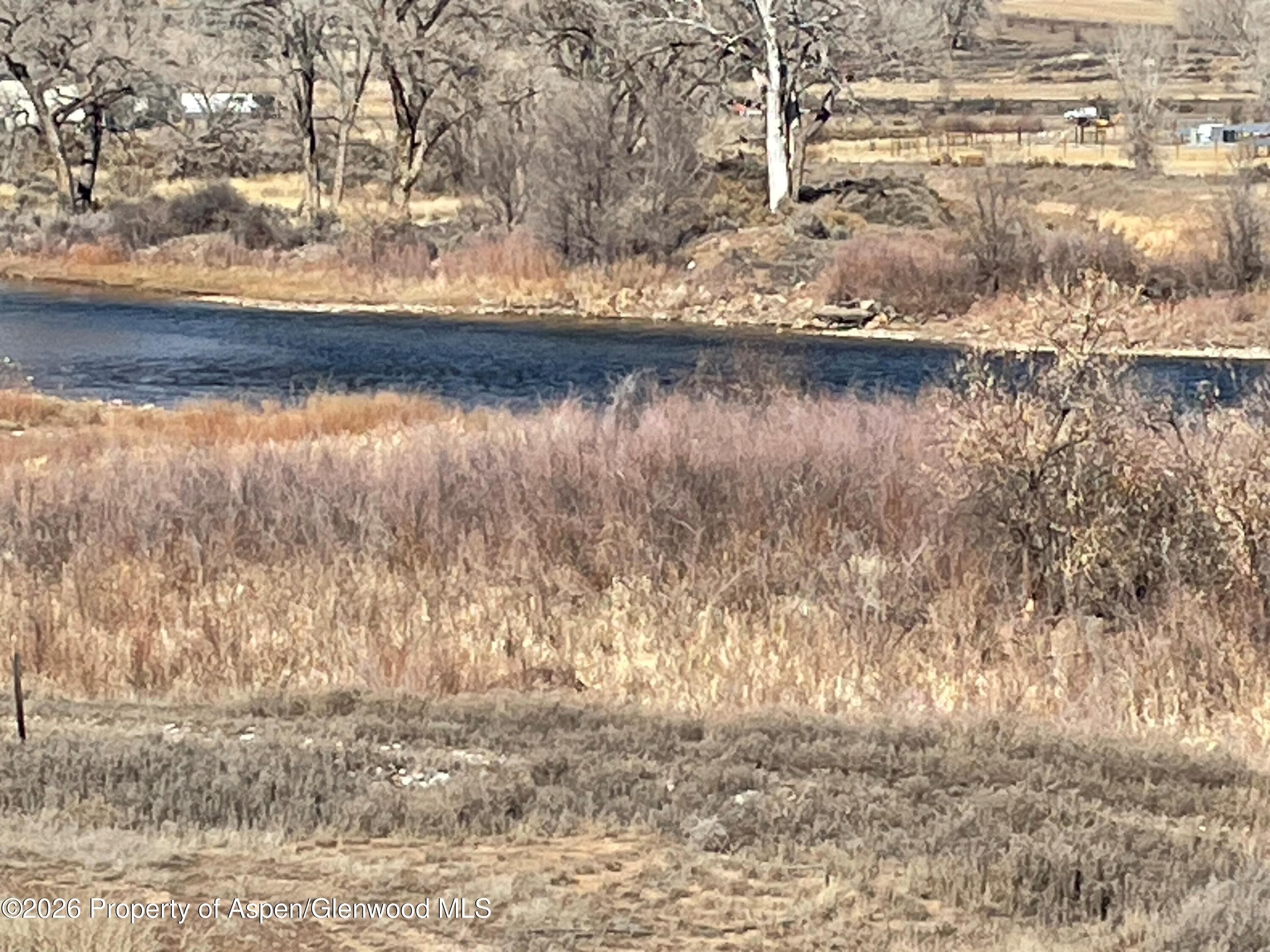 1117 & 117 County Road 335, Silt, CO 81652 - Photo 7