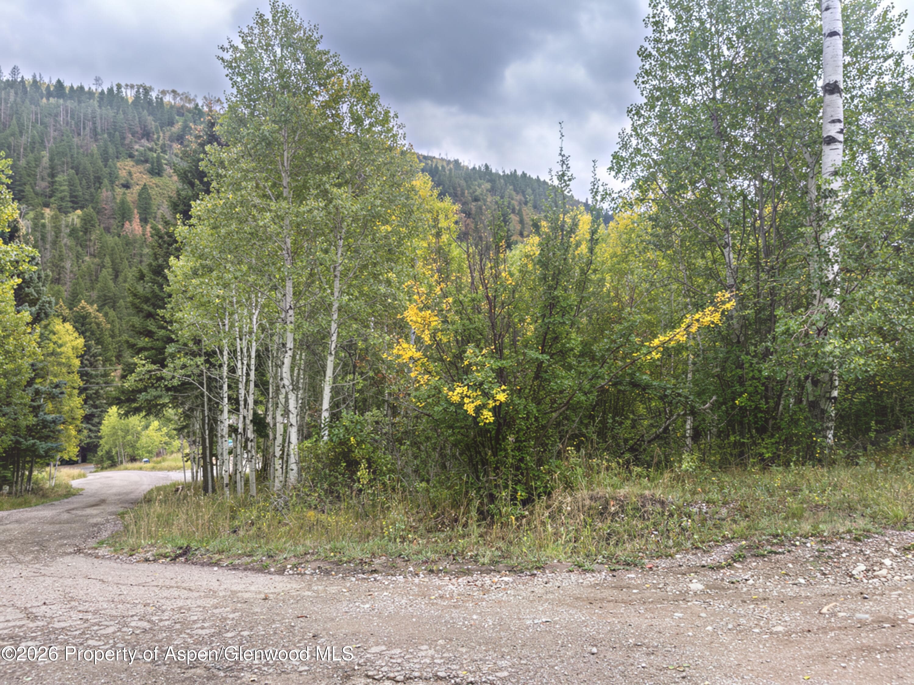 62 Aspen Street, Redstone, CO 81623 - Photo 2