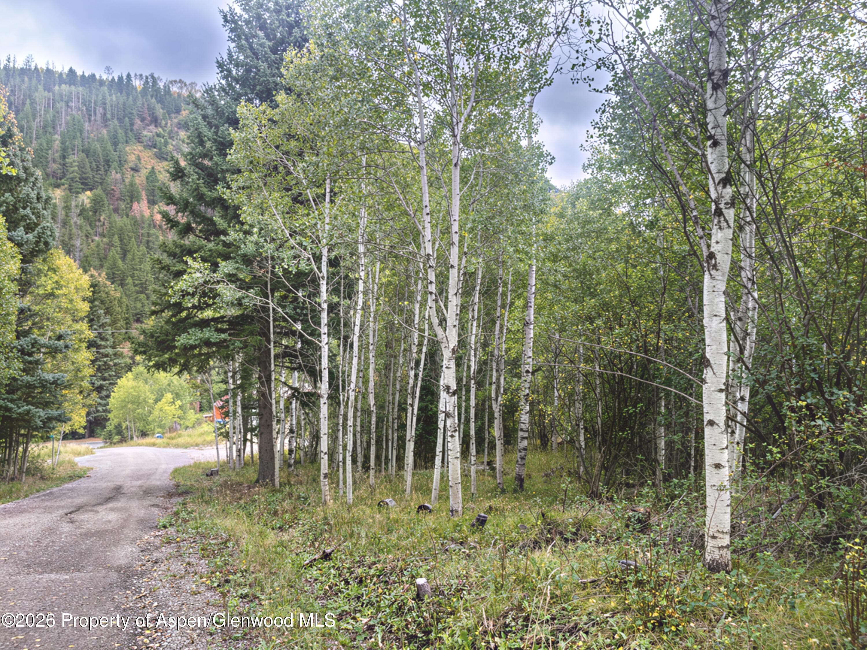 62 Aspen Street, Redstone, CO 81623 - Photo 3