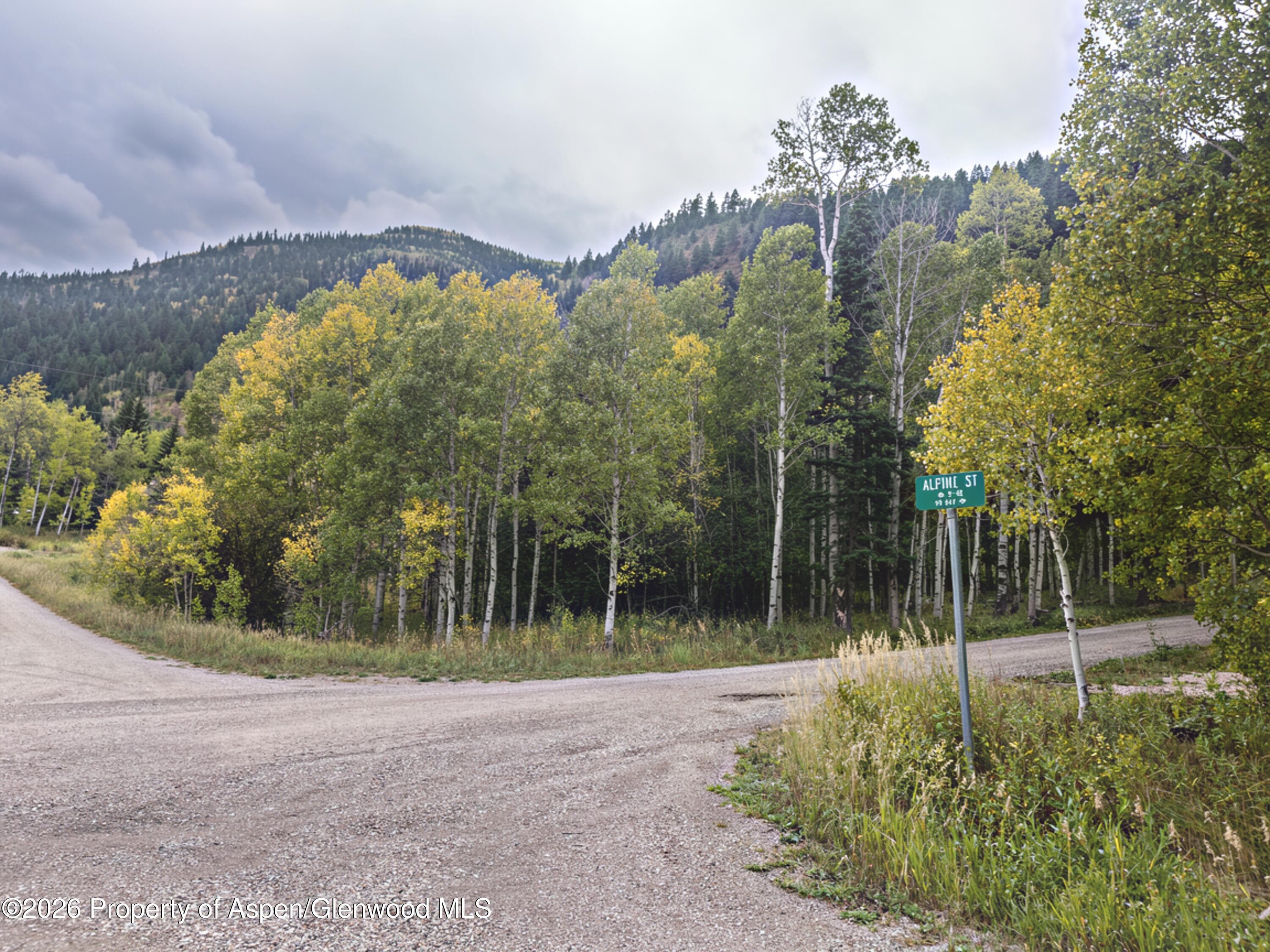 62 Aspen Street, Redstone, CO 81623 - Photo 4