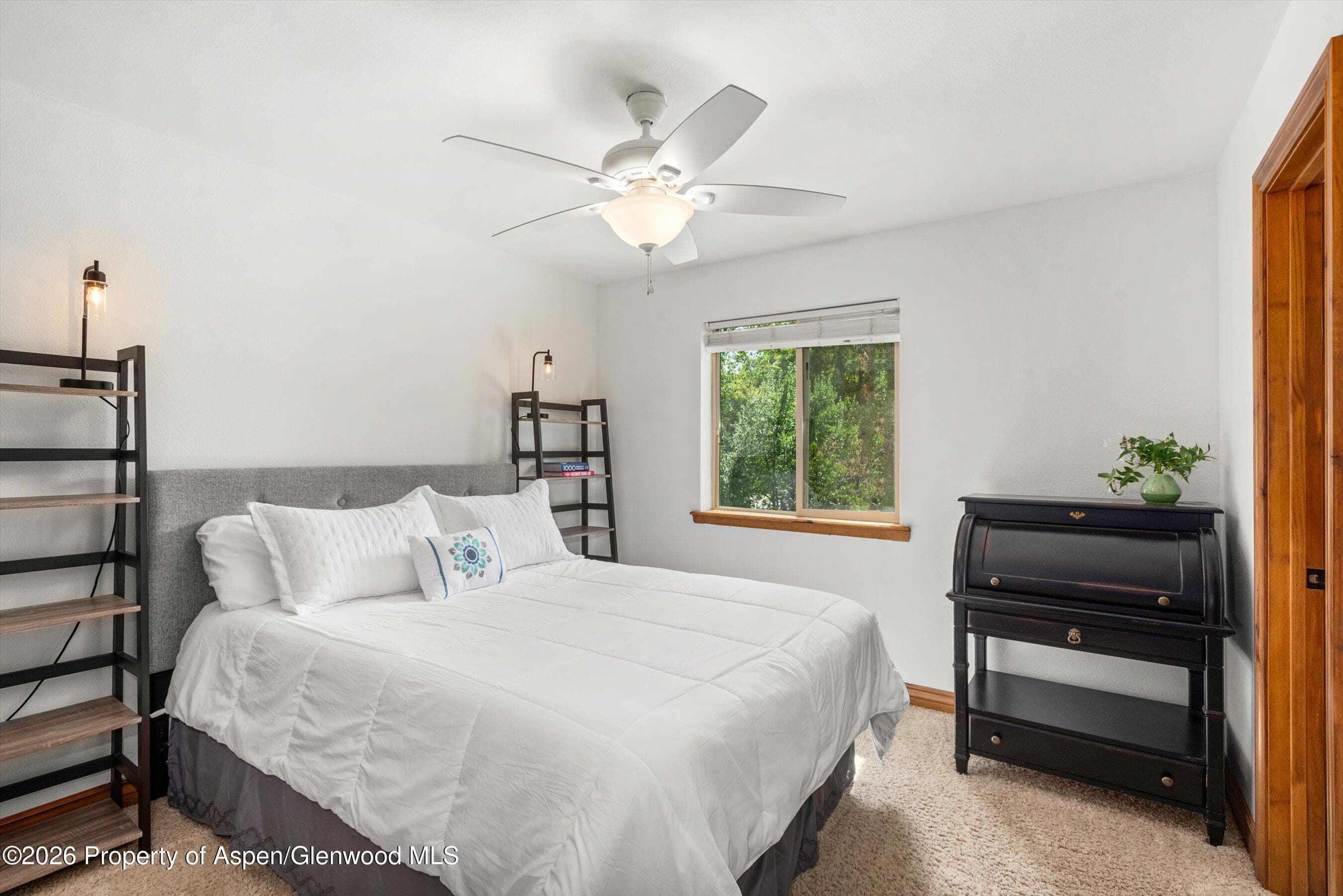 241 Deer Run, Carbondale, CO 81623 - Photo 24
