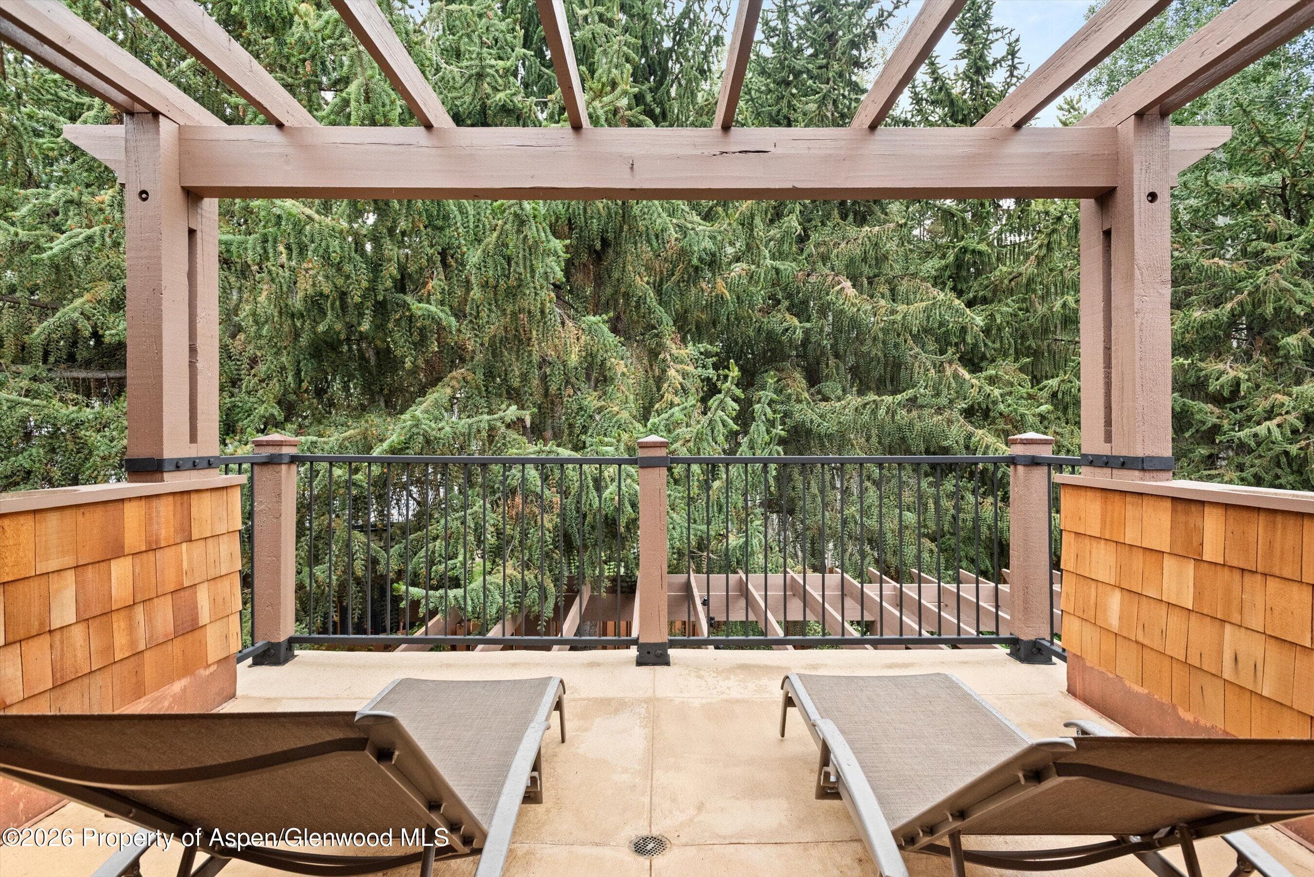 1263 Bunny Court 1, Aspen, CO 81611 - Photo 23