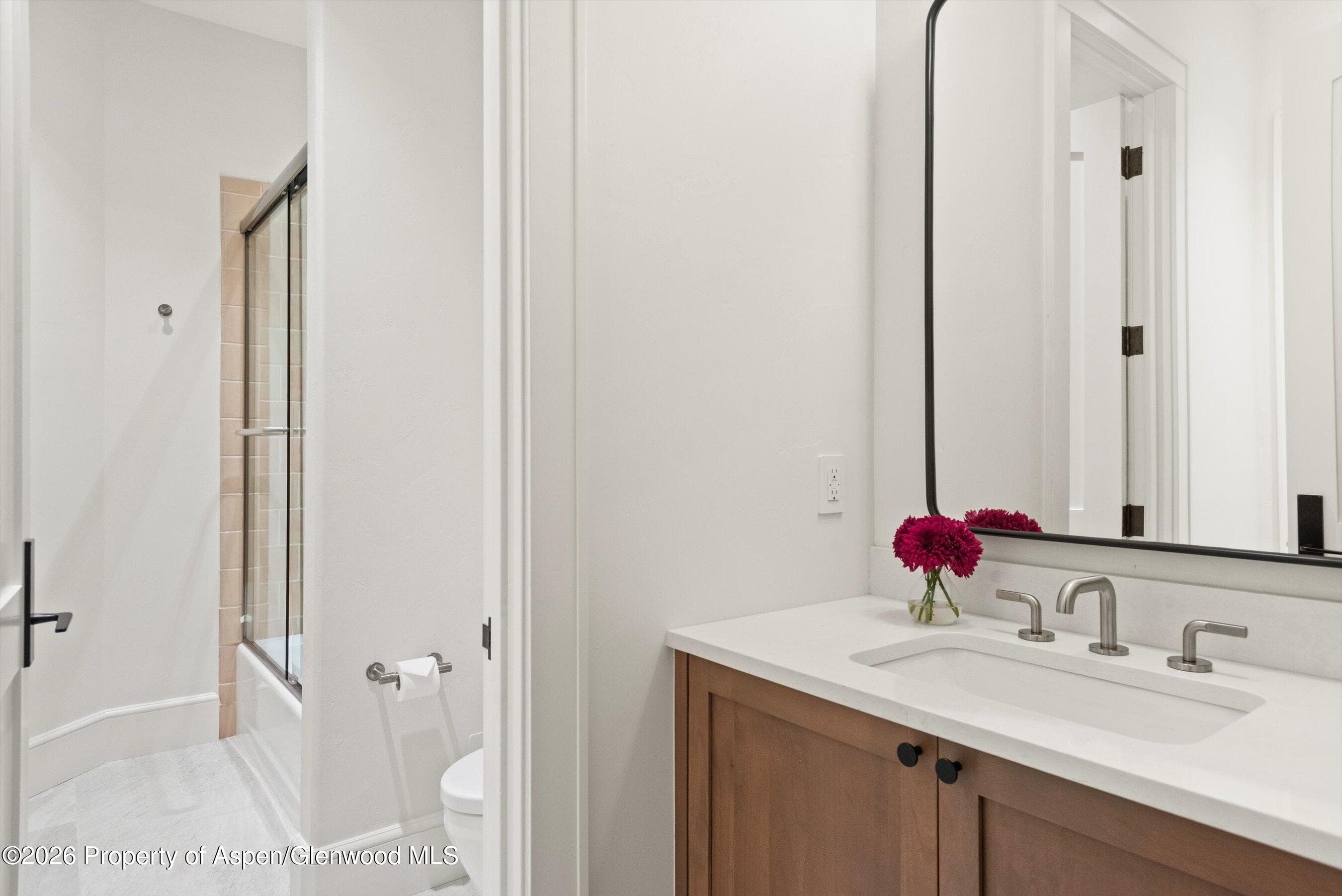 1263 Bunny Court 1, Aspen, CO 81611 - Photo 34