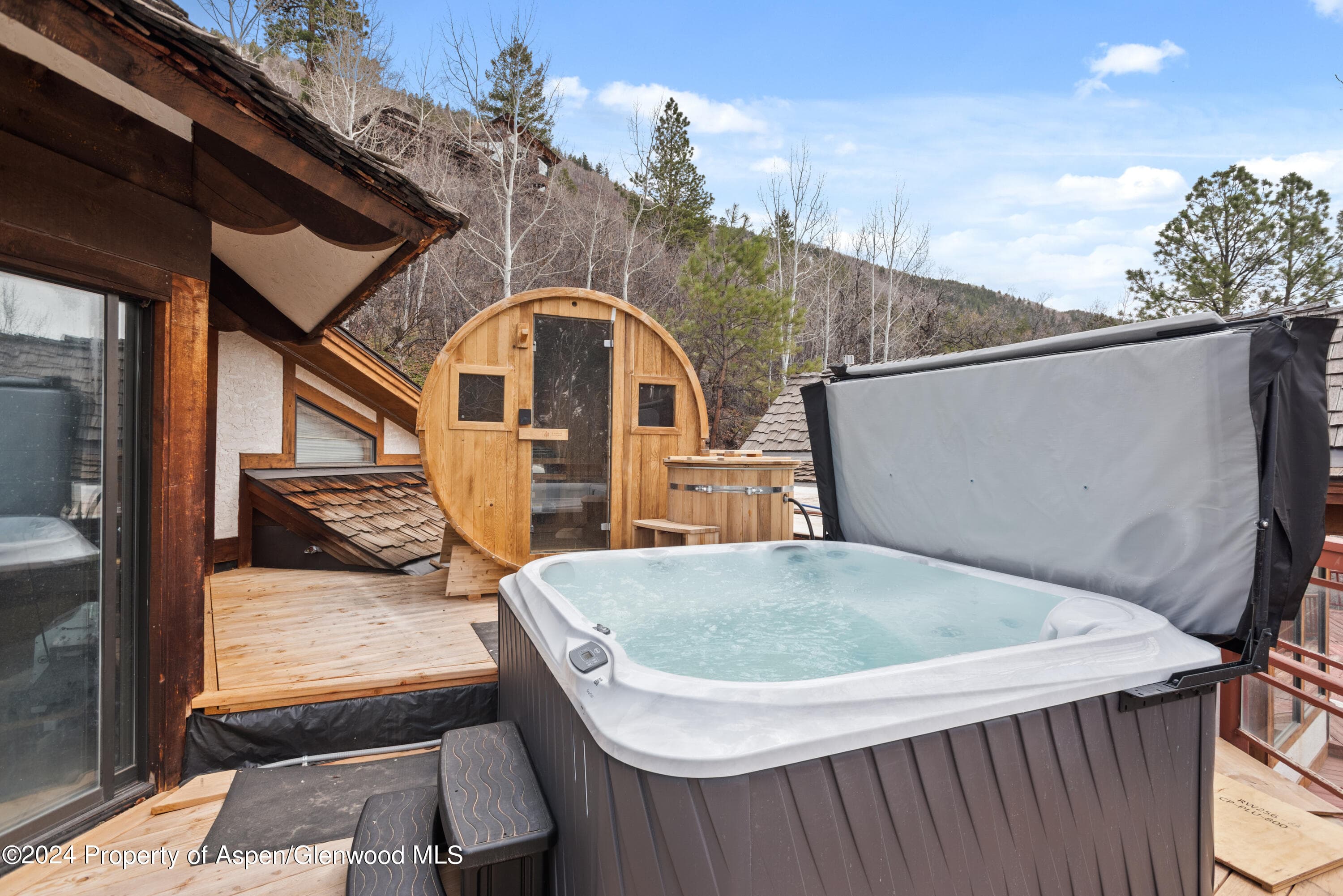184 Mountain Laurel Drive, Aspen, CO 81611 - Photo 15