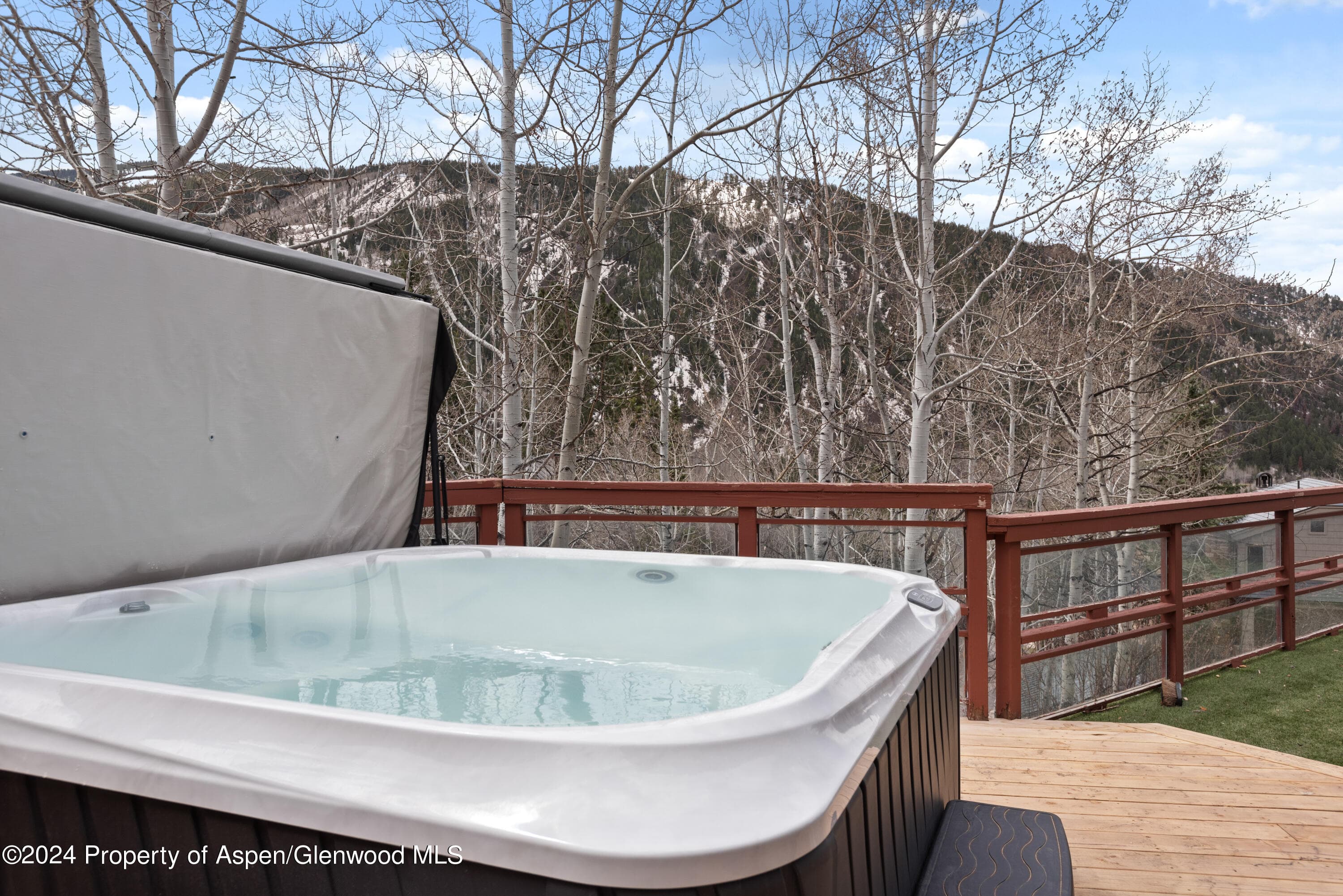 184 Mountain Laurel Drive, Aspen, CO 81611 - Photo 16